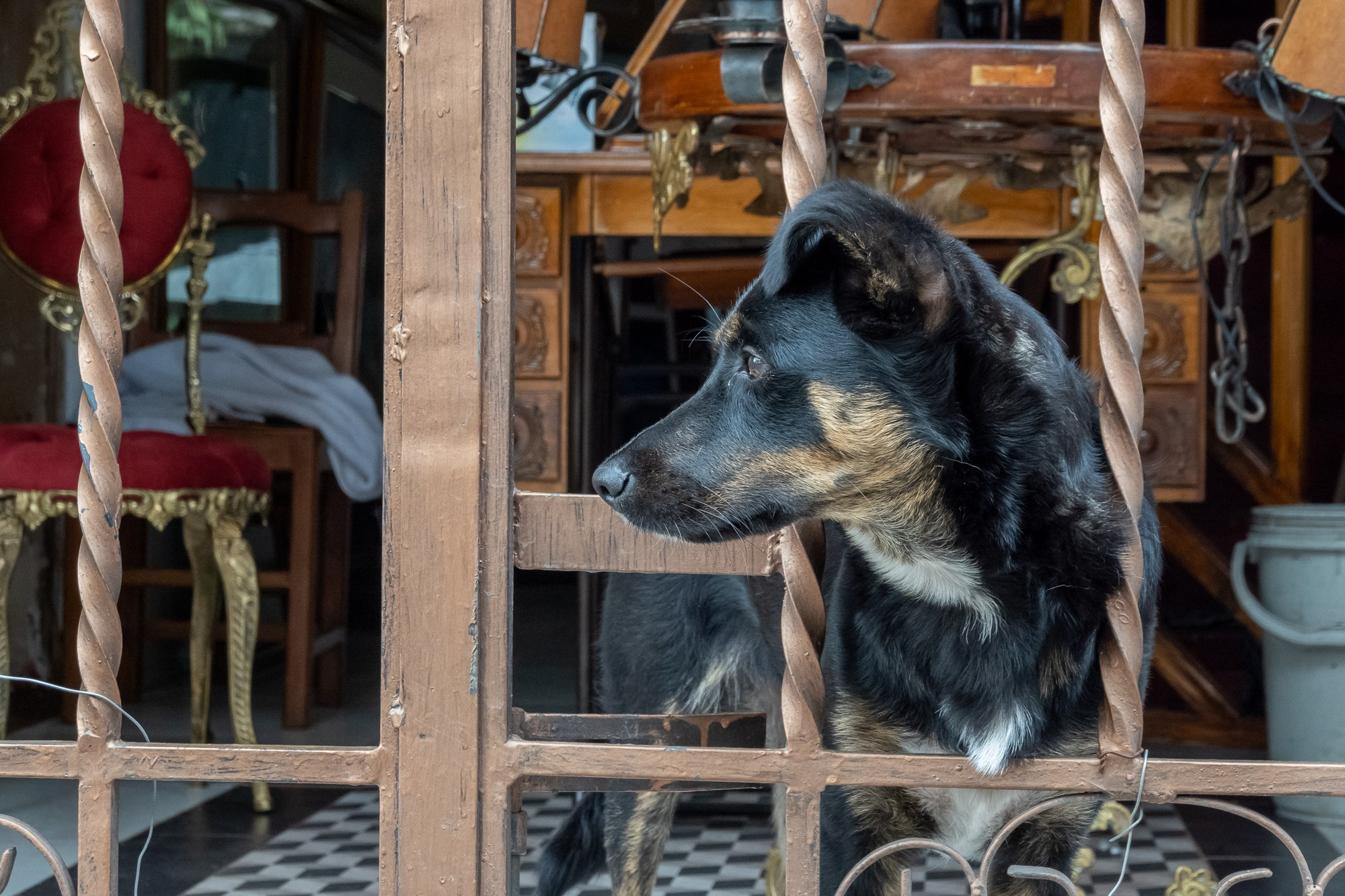 Фотограф Алексей Скоробогатько. Колумбия, г. Кали. Photographer Alexey Skorobogatko. Cali, Colombia. Фотограф Алексей Скоробогатько