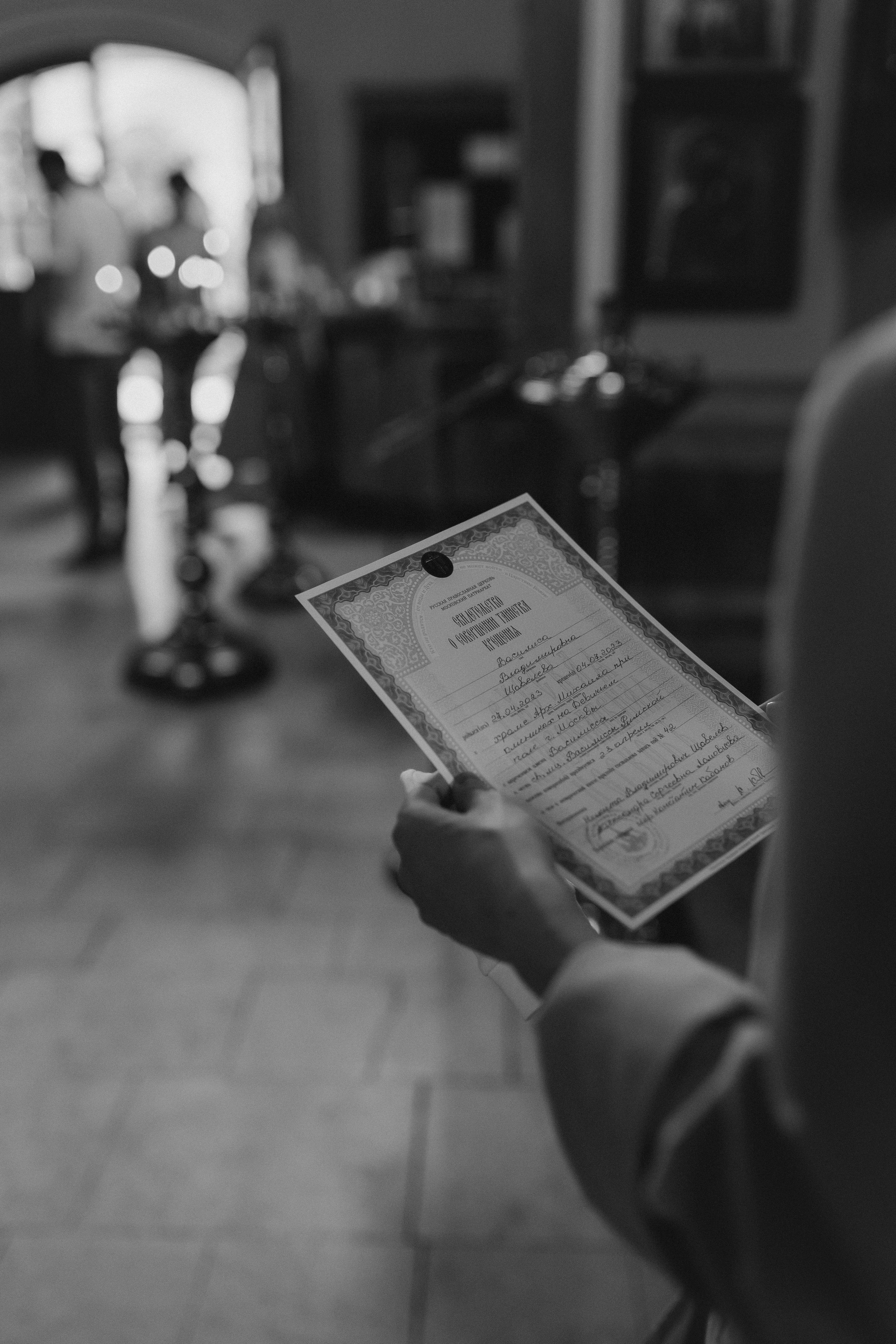 Василиса. Миронова Анастасия