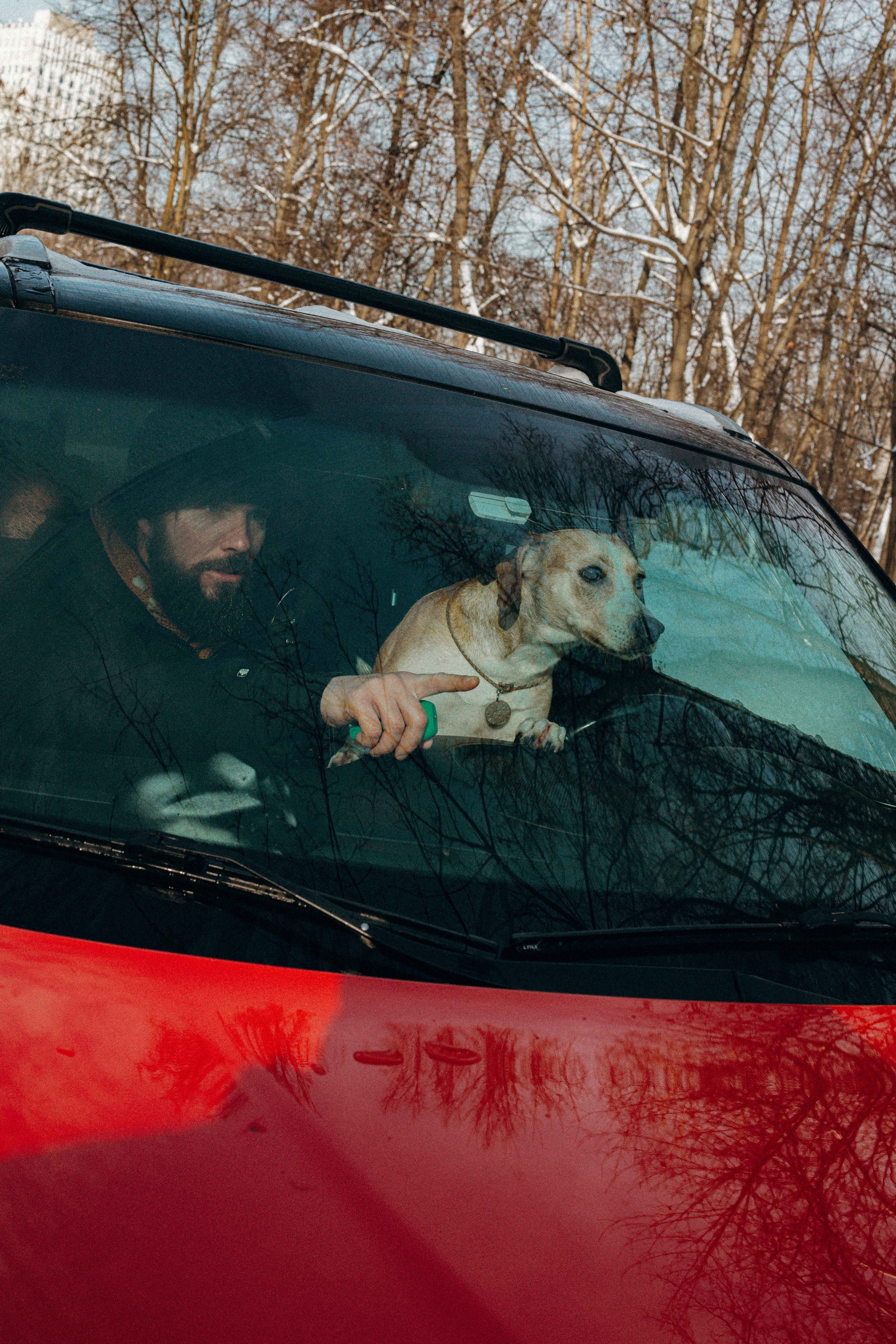 Свобода и ее семья. Фотограф-анималист в Москве Лера Черноног
