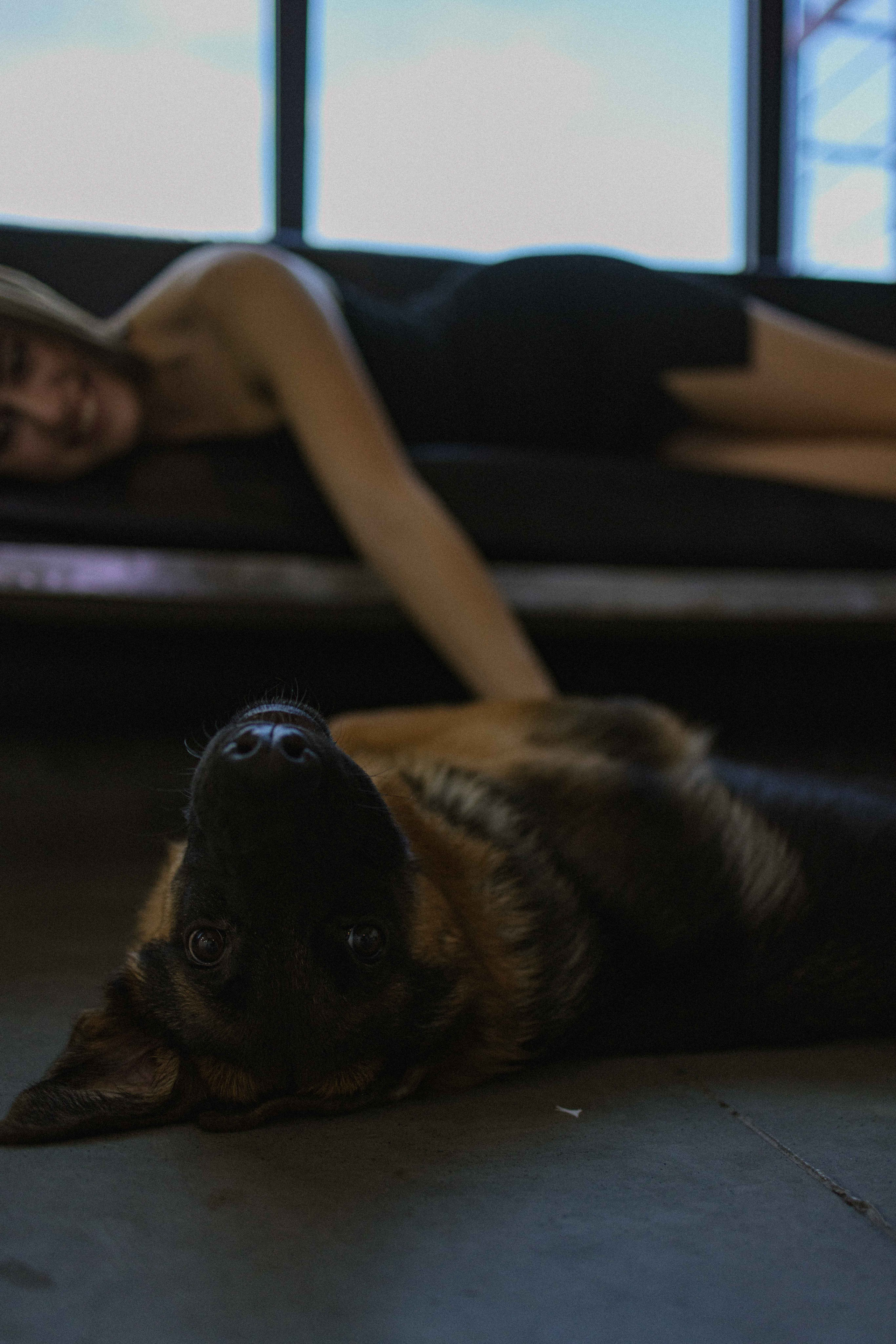 Ася и Буся. Фотограф-анималист в Москве Лера Черноног