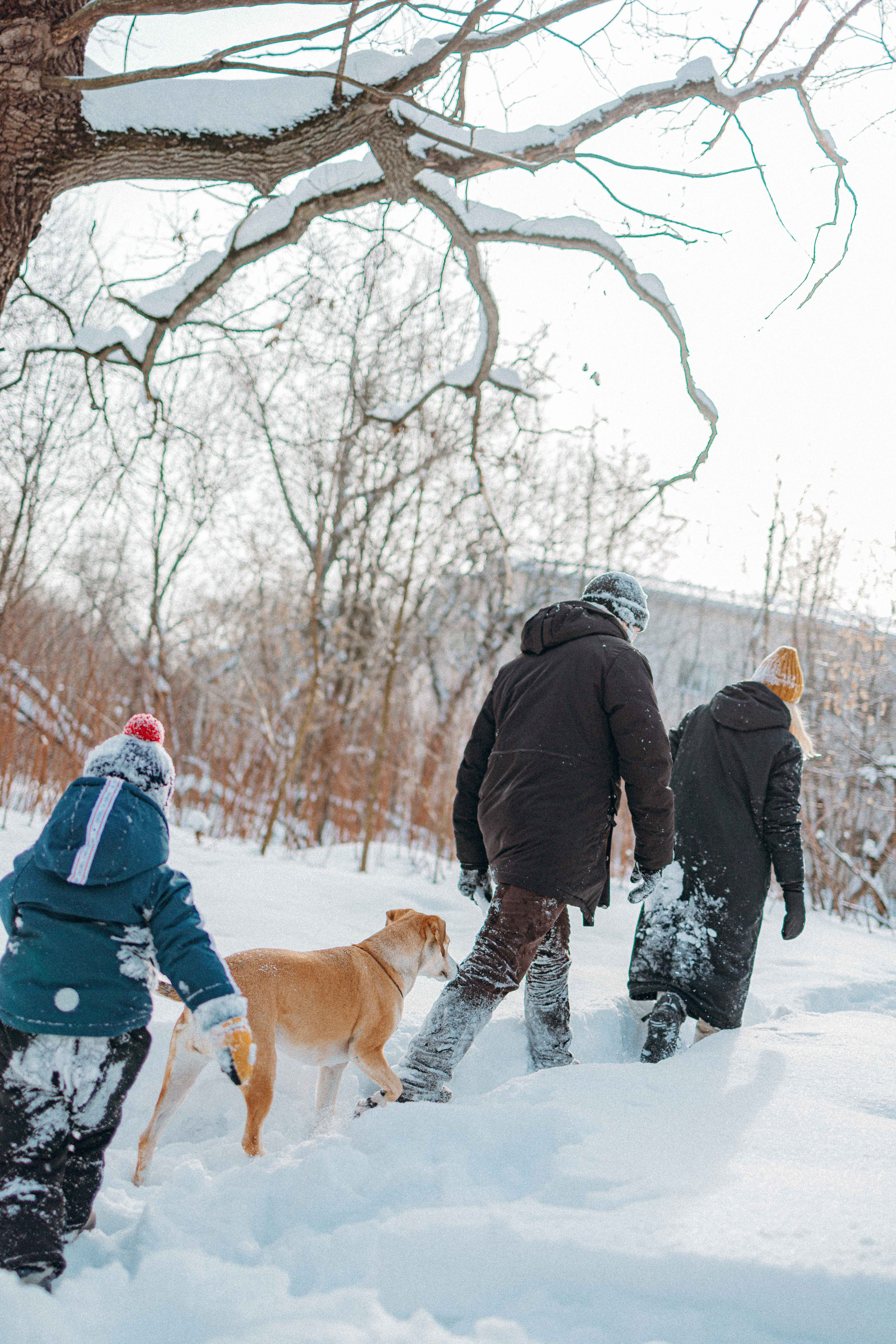Свобода и ее семья. Фотограф-анималист в Москве Лера Черноног