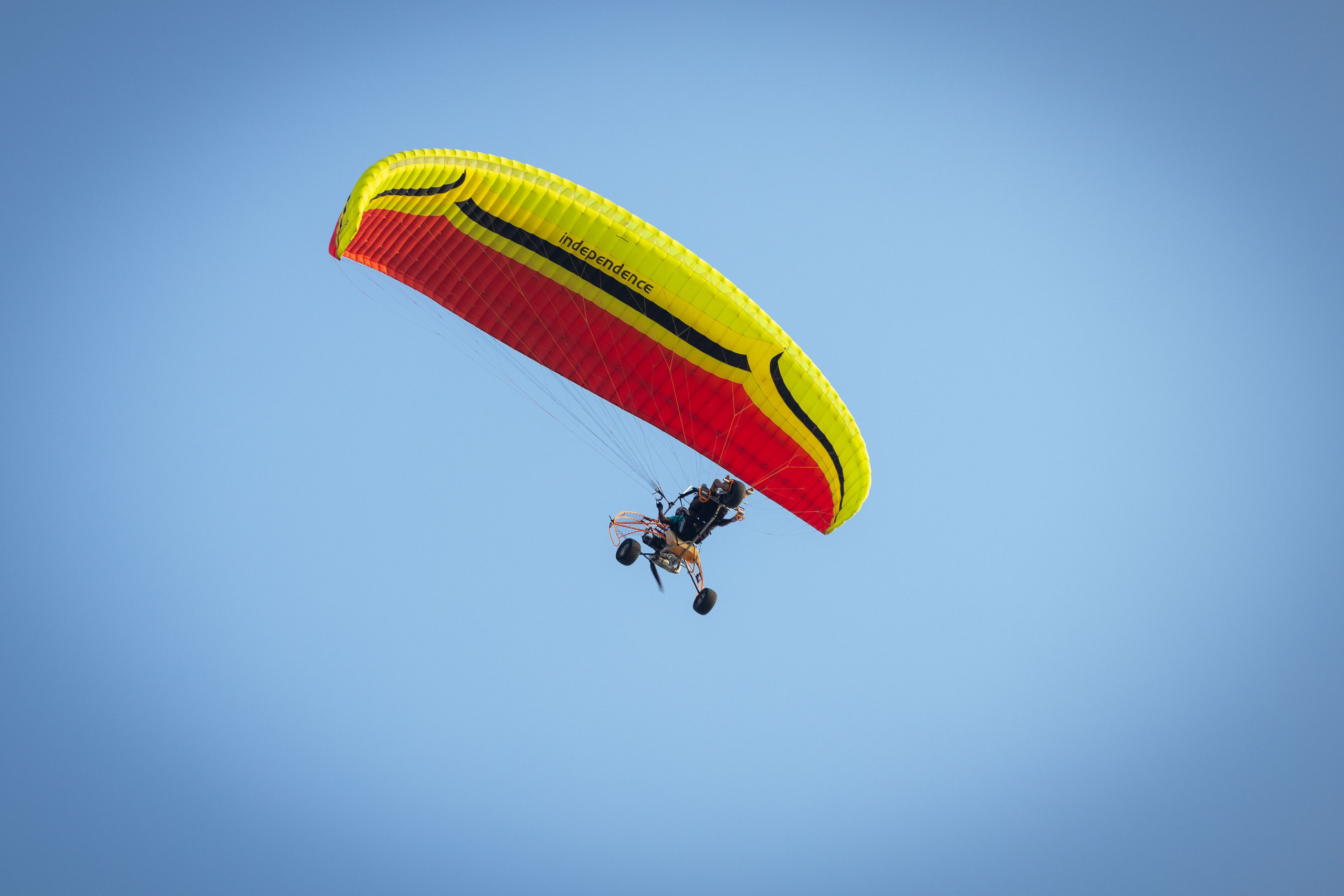 Шри-Ланка (весна 2024). Фотограф Виноградов Константин