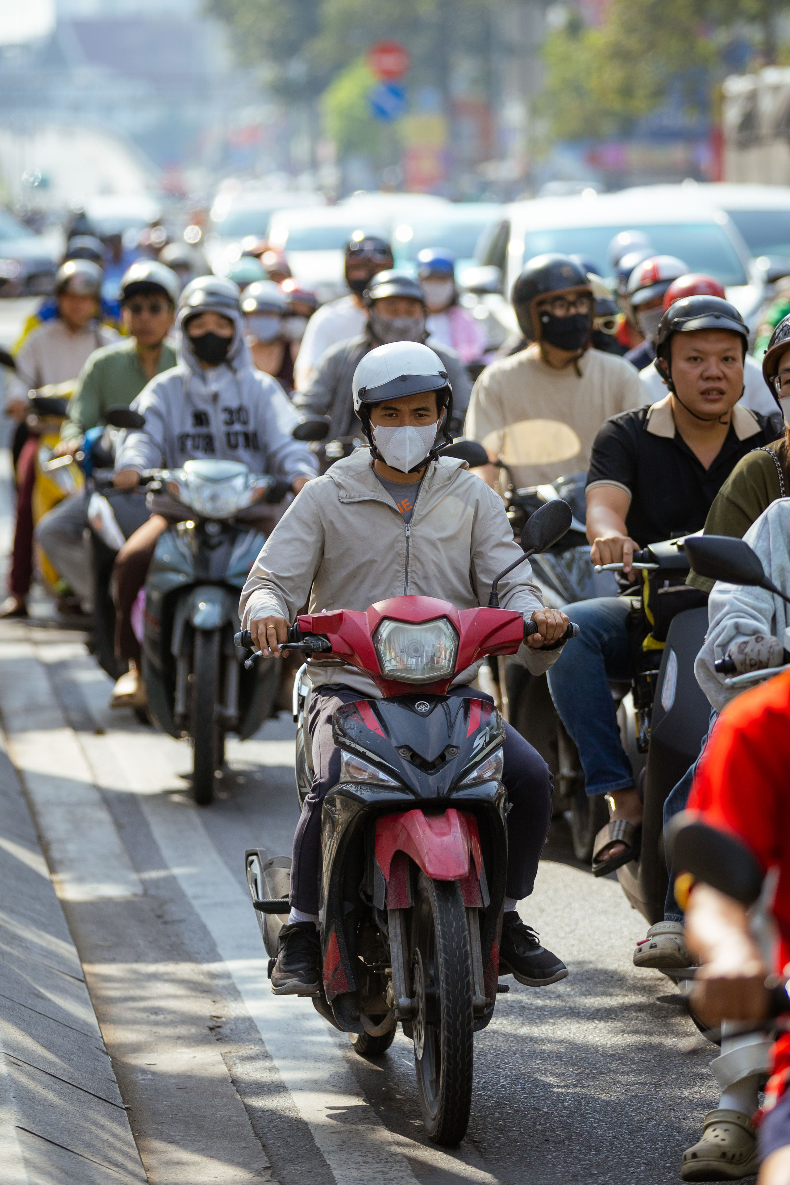 Вьетнам (зима 2025-2026). Фотограф Виноградов Константин