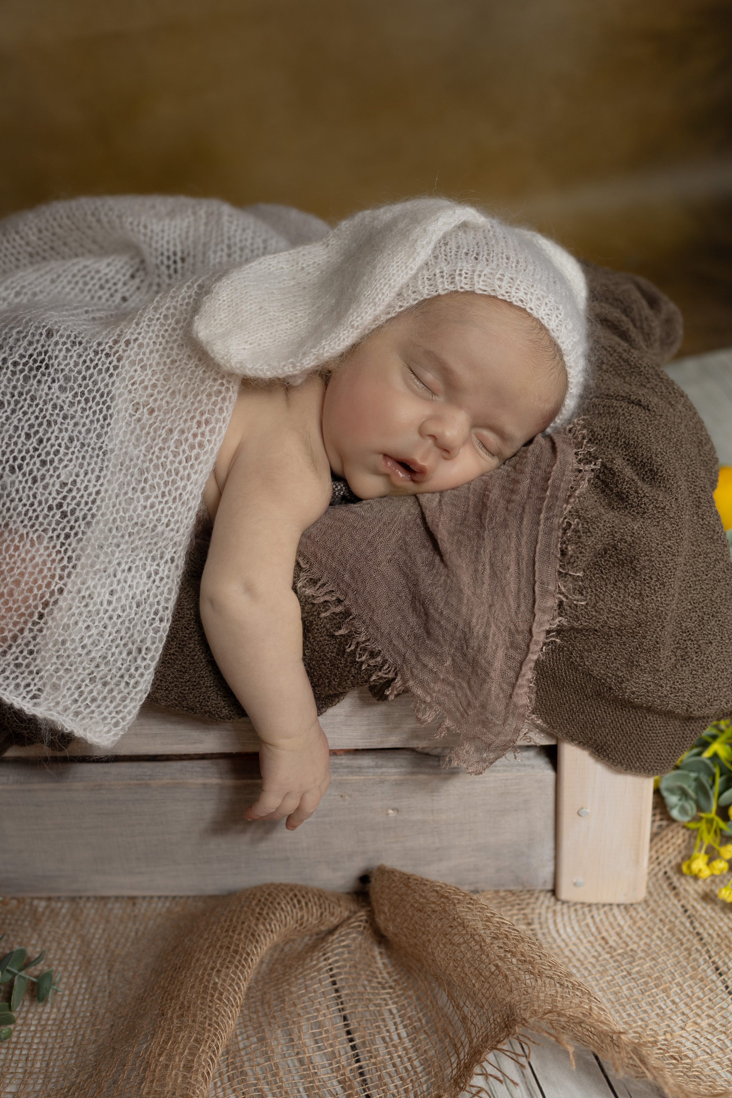 Лев. Ольга SHREIBICUS — Фотография беременности и новорожденных Оренбург