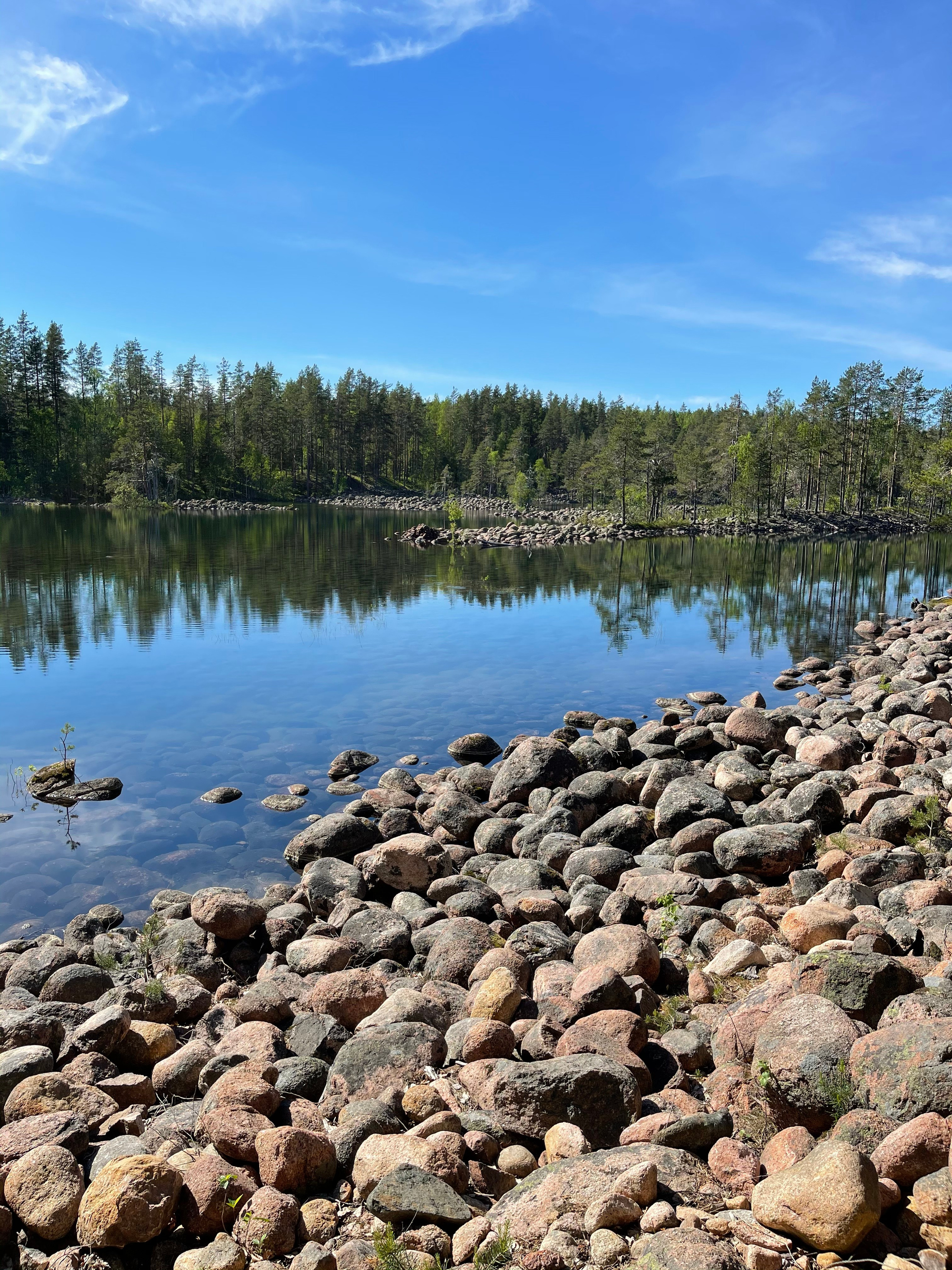 ЛадогаТрофи — 21. Своя Мастерская