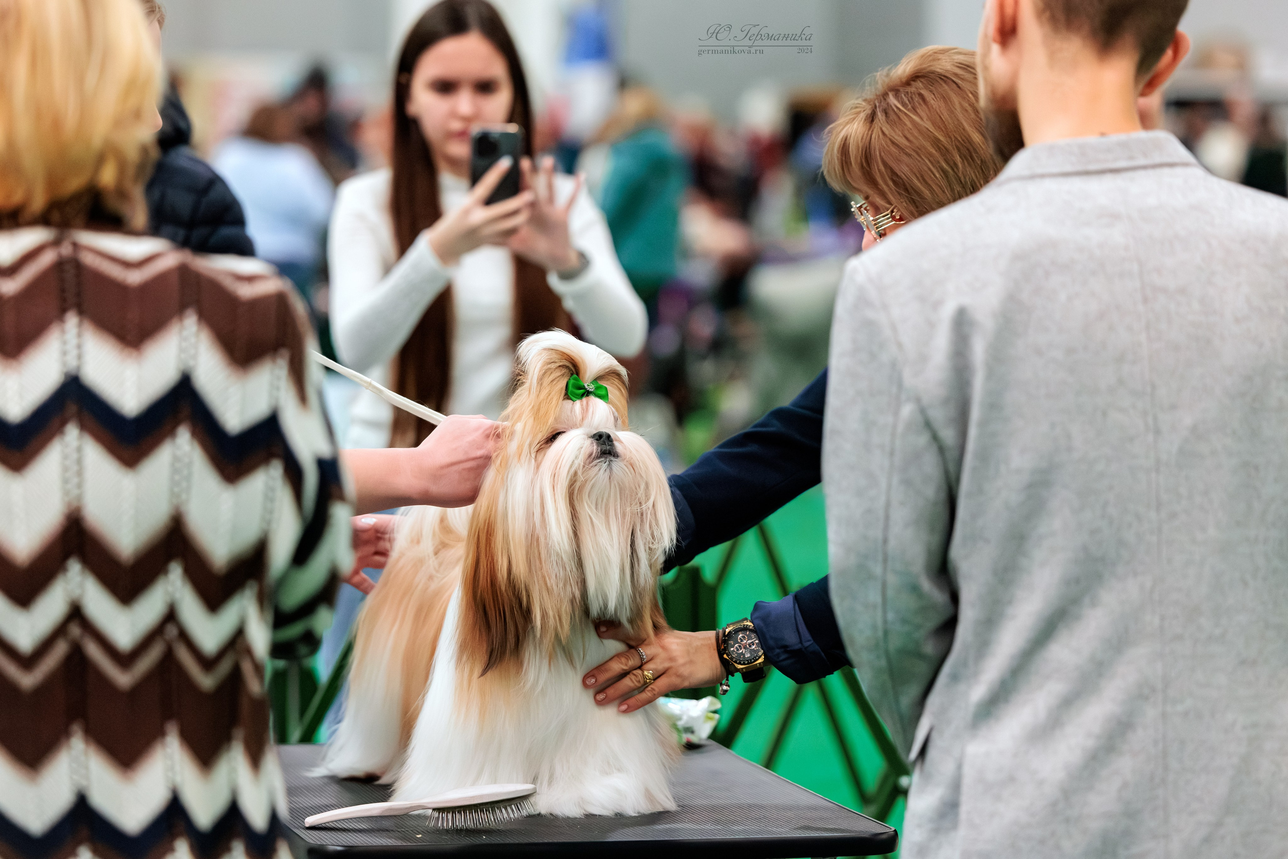 Крокус 21.12.2024,Сфера 29.12.2024. Фотограф-анималист Юлия Германика