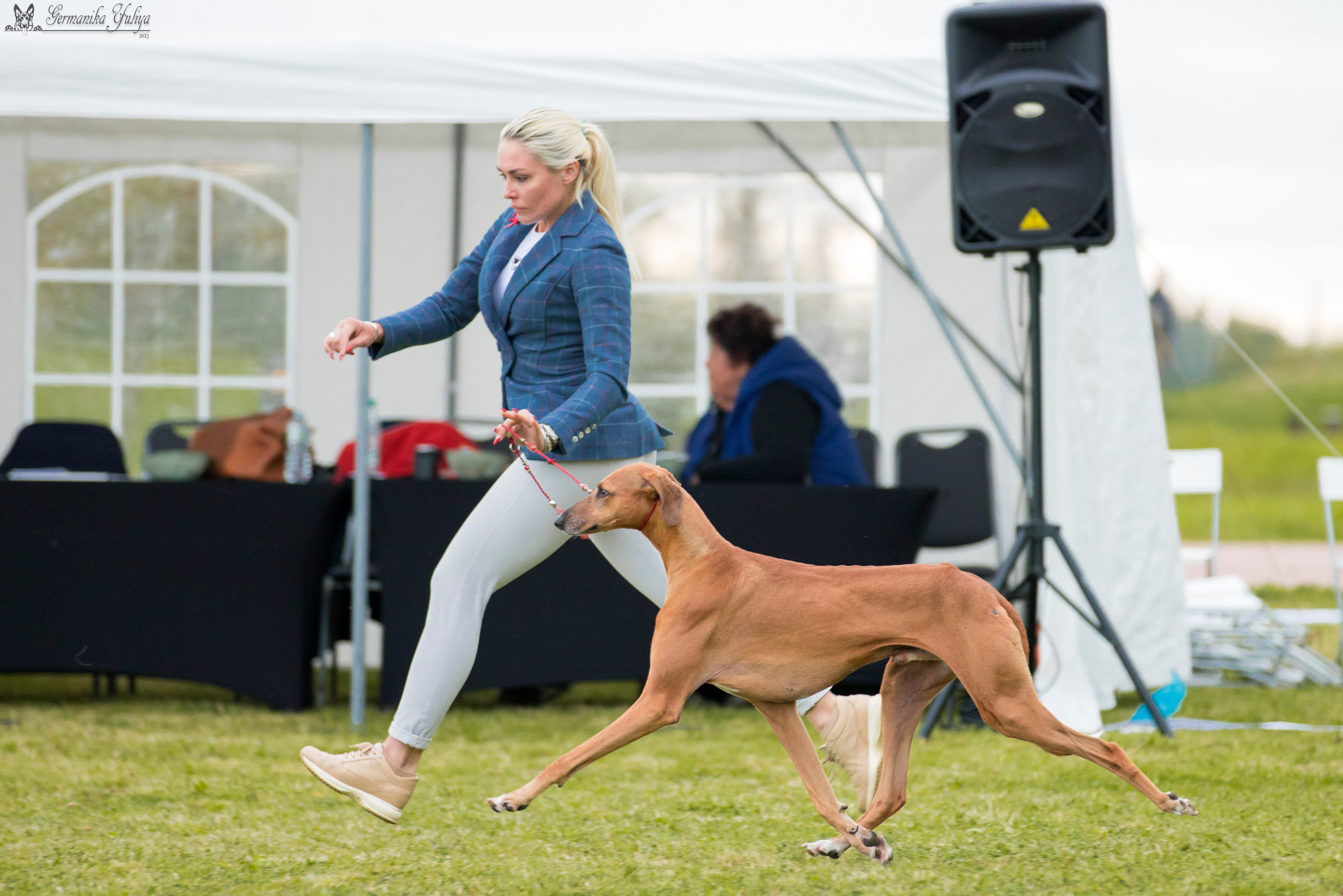 Переславль 9-10.09.2023. Фотограф-анималист Юлия Германика