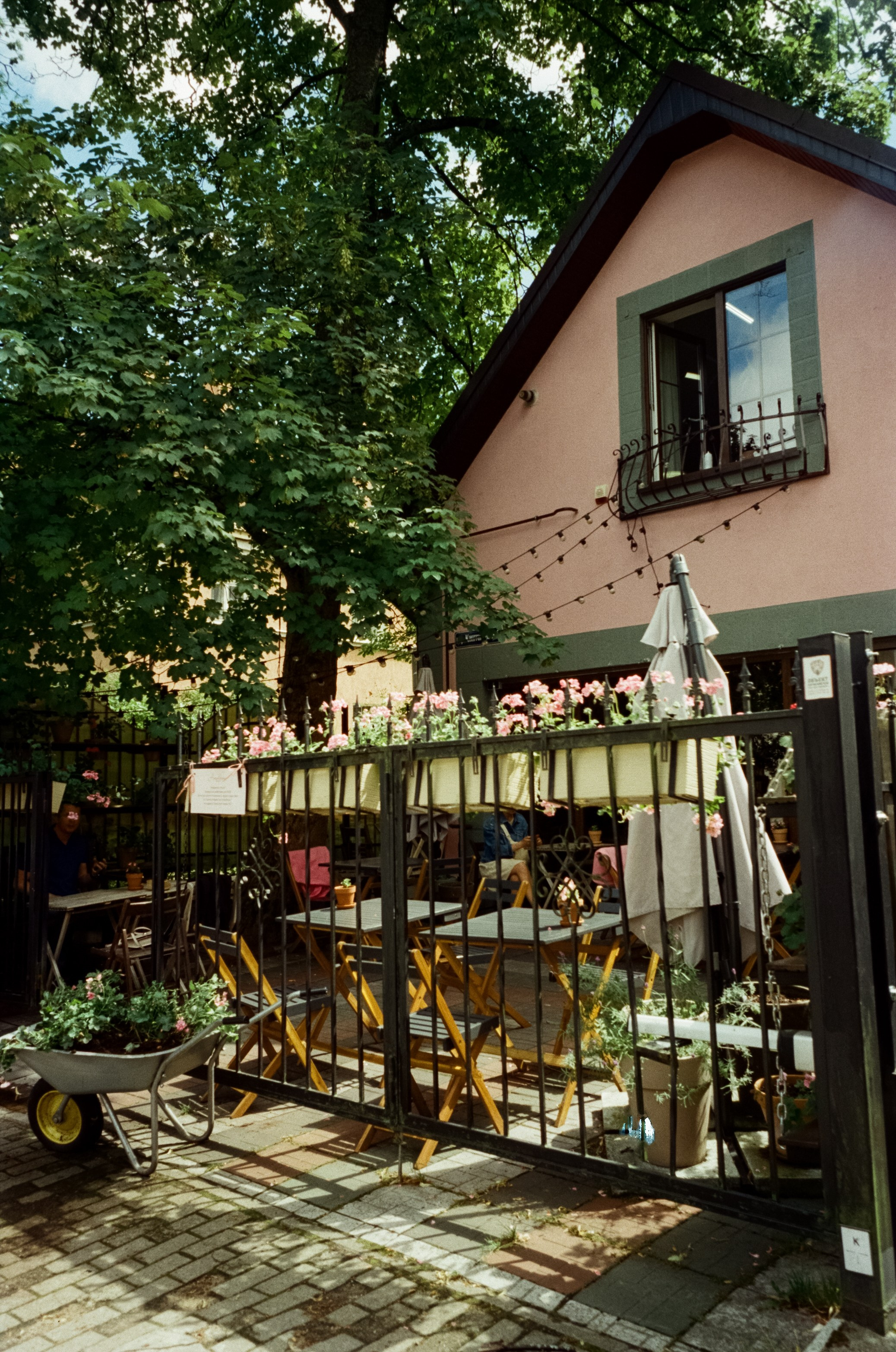 Район Амалиенау и кафе Amalienau Breakfast в Калининграде. Фотограф-документалист Мария Осокина