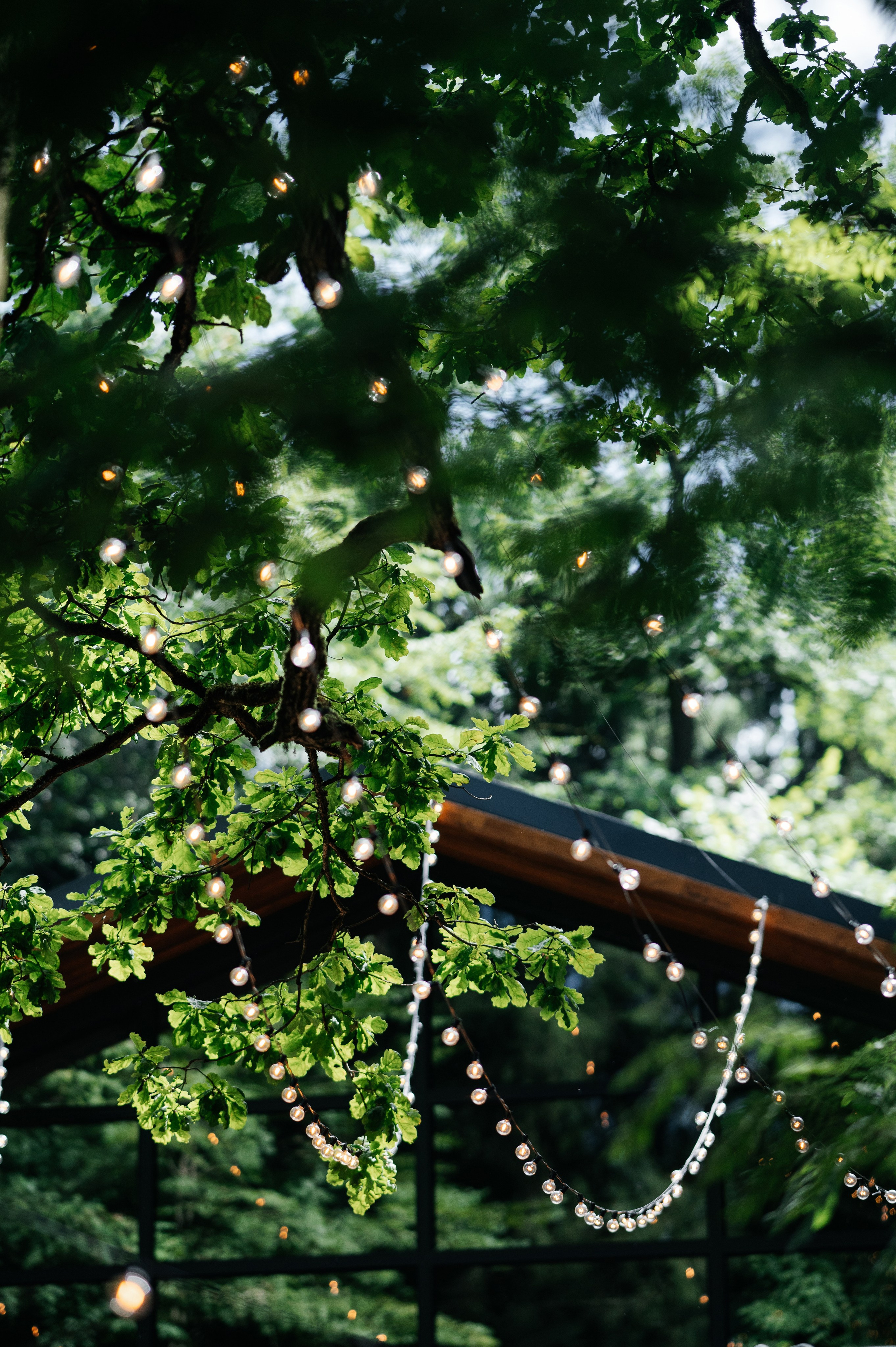 Wedding Romance and Anastasia. Wedding photographer in Moscow and around the world Andrey Medvednikov