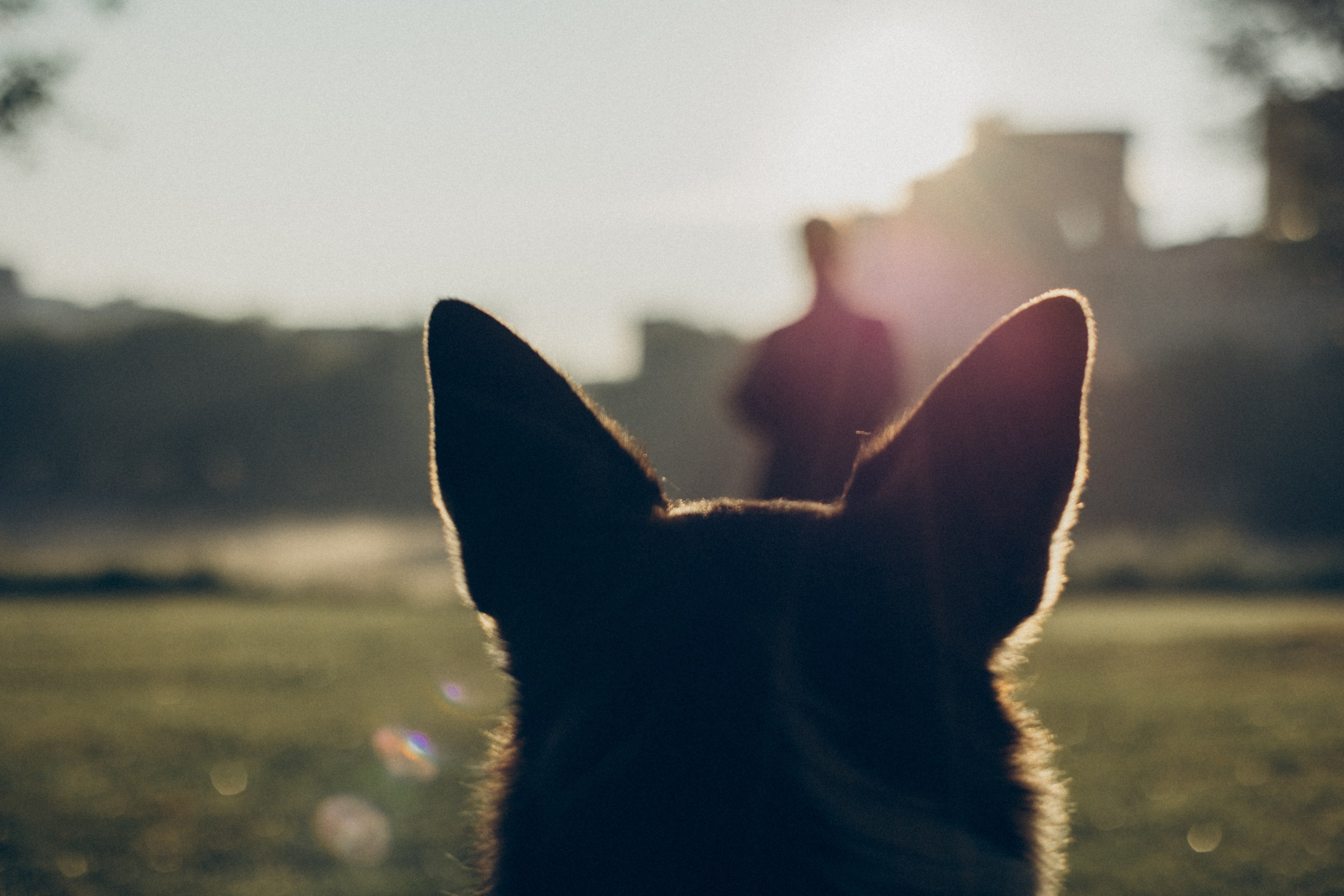 Варя и Зося. Татьяна Афонина | Фотограф