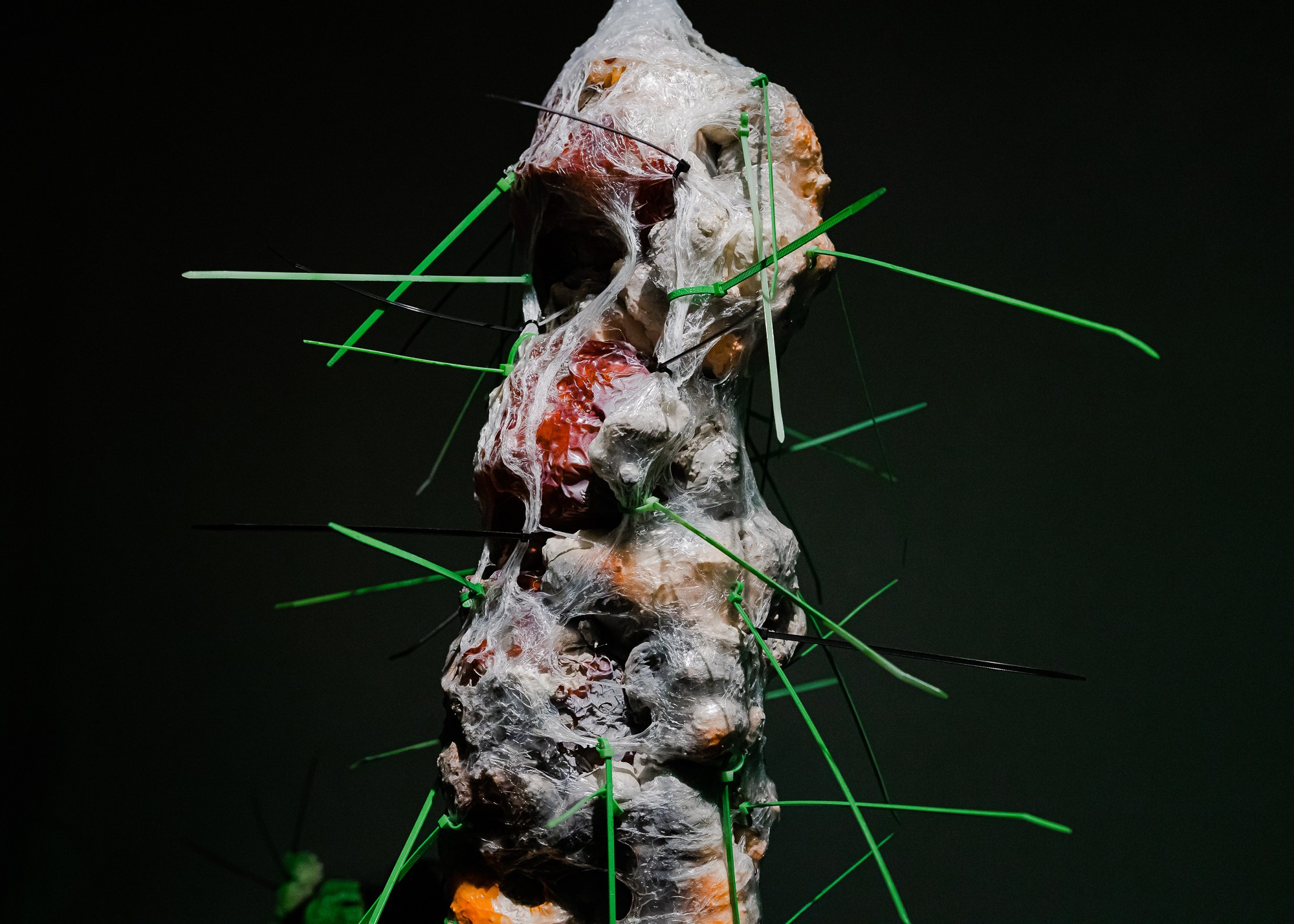 Выставка Город-Сад