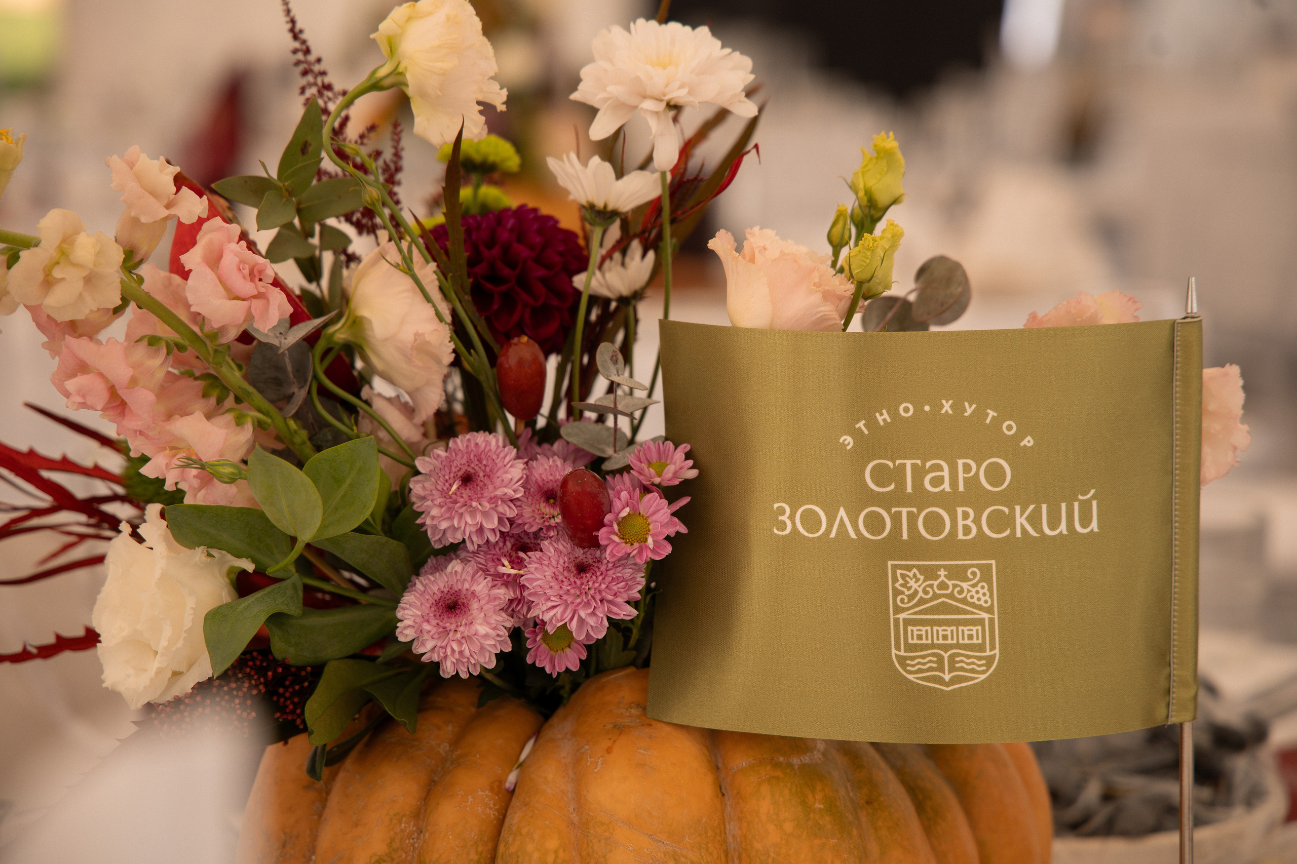 «Красностопъ Золотовский» третий винный фестиваль. Анна Рышкевич