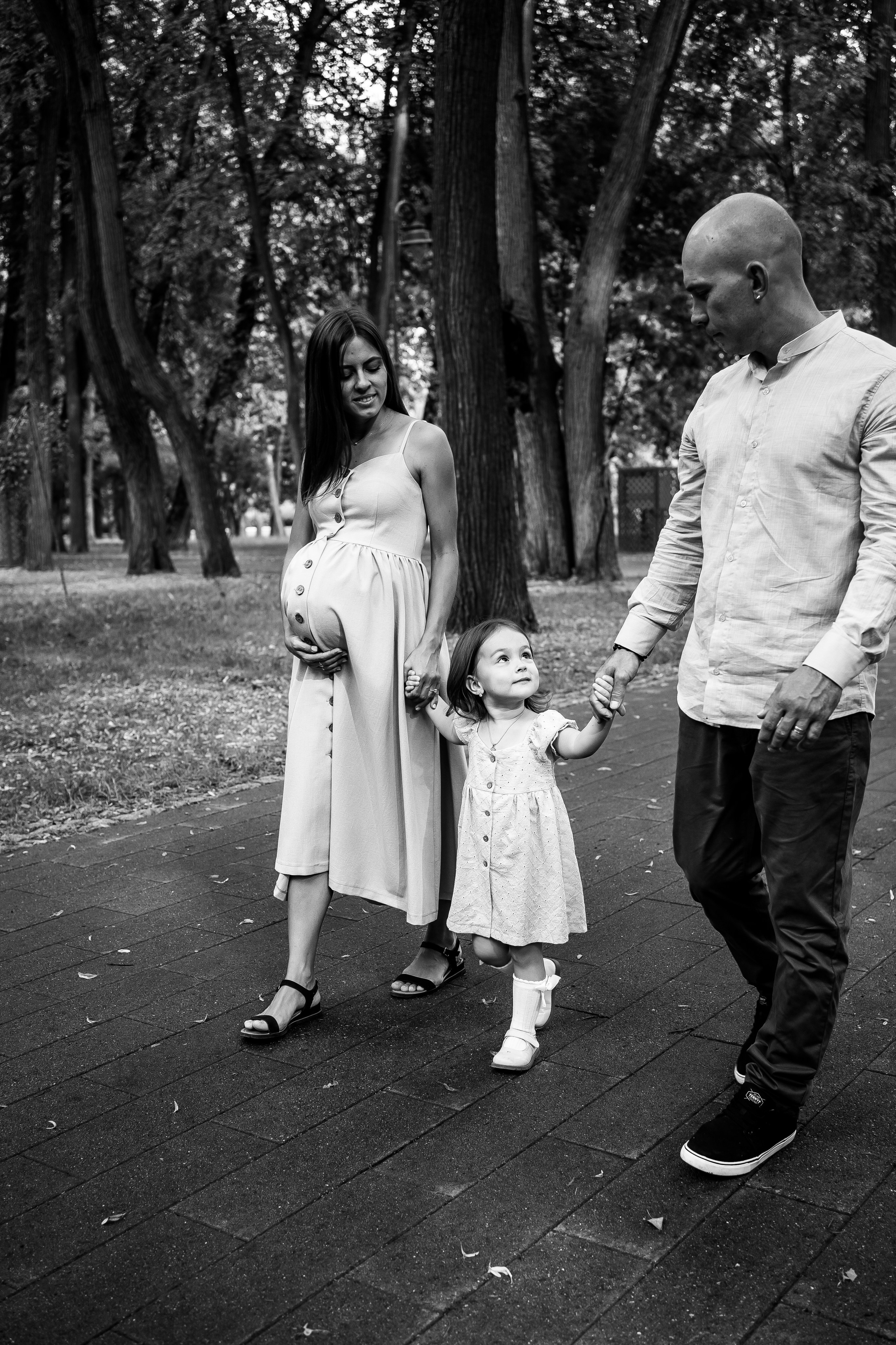 Абиша и Илья