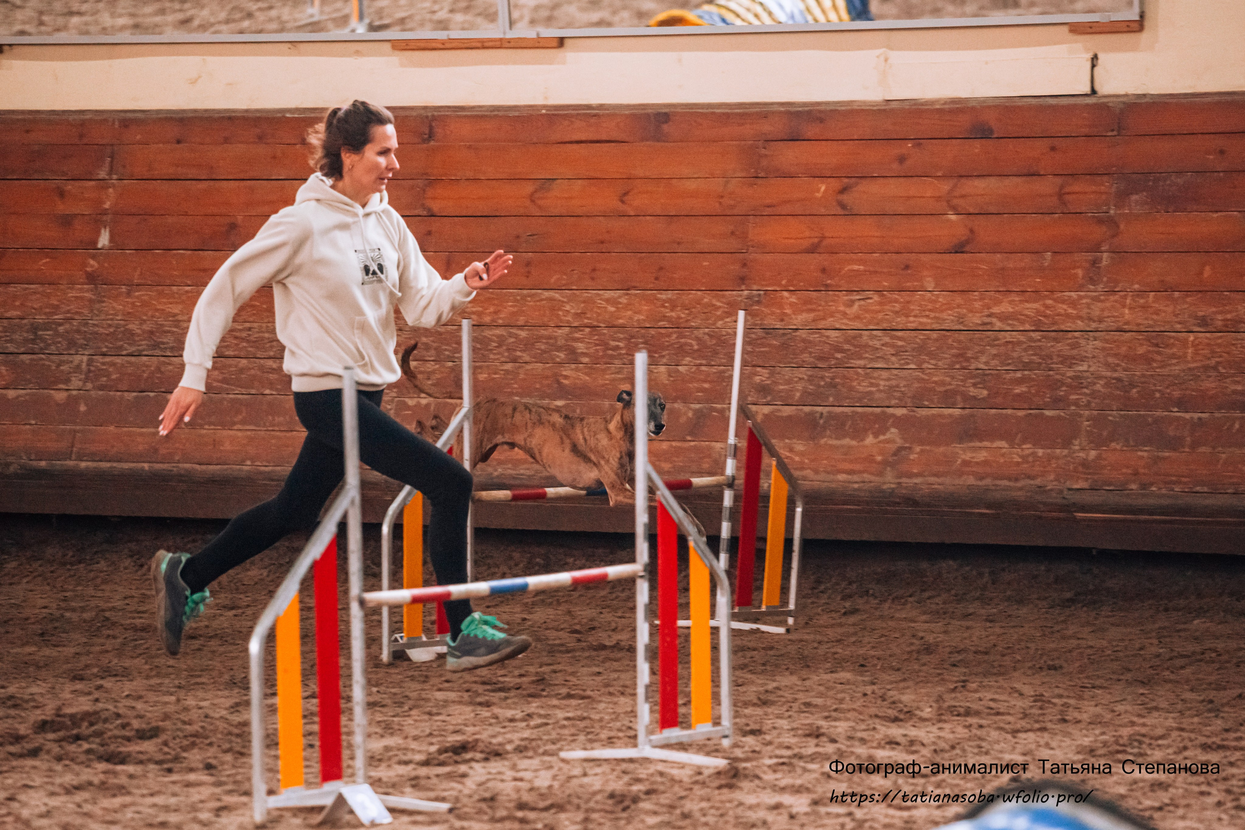Соревнования по Аджилити 25.02.2024. Фотограф-анималист Татьяна Степанова