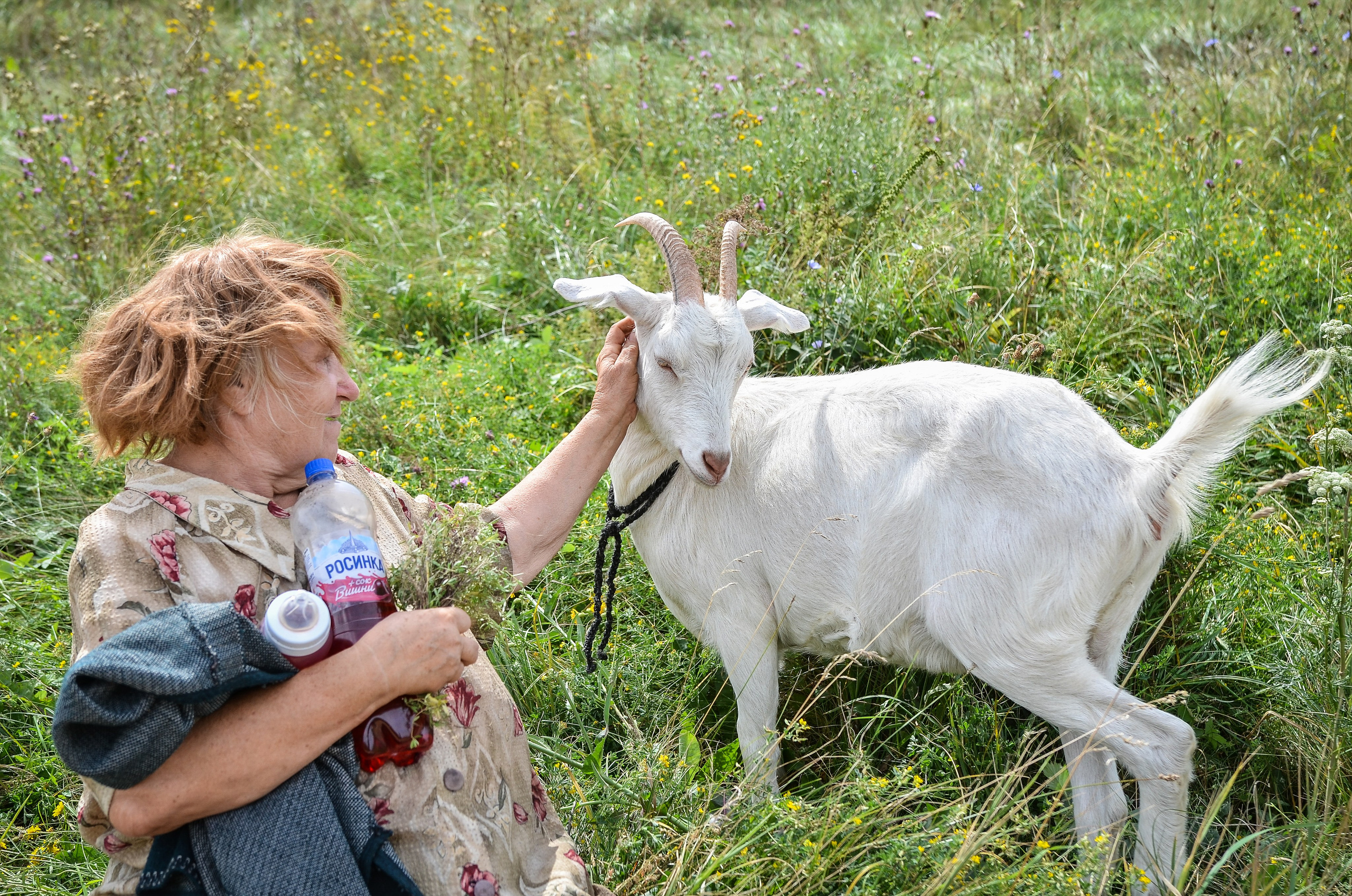 Казачьи военно-полевые сборы. Репортажный и свадебный фотограф в Липецке Иван Первойкин