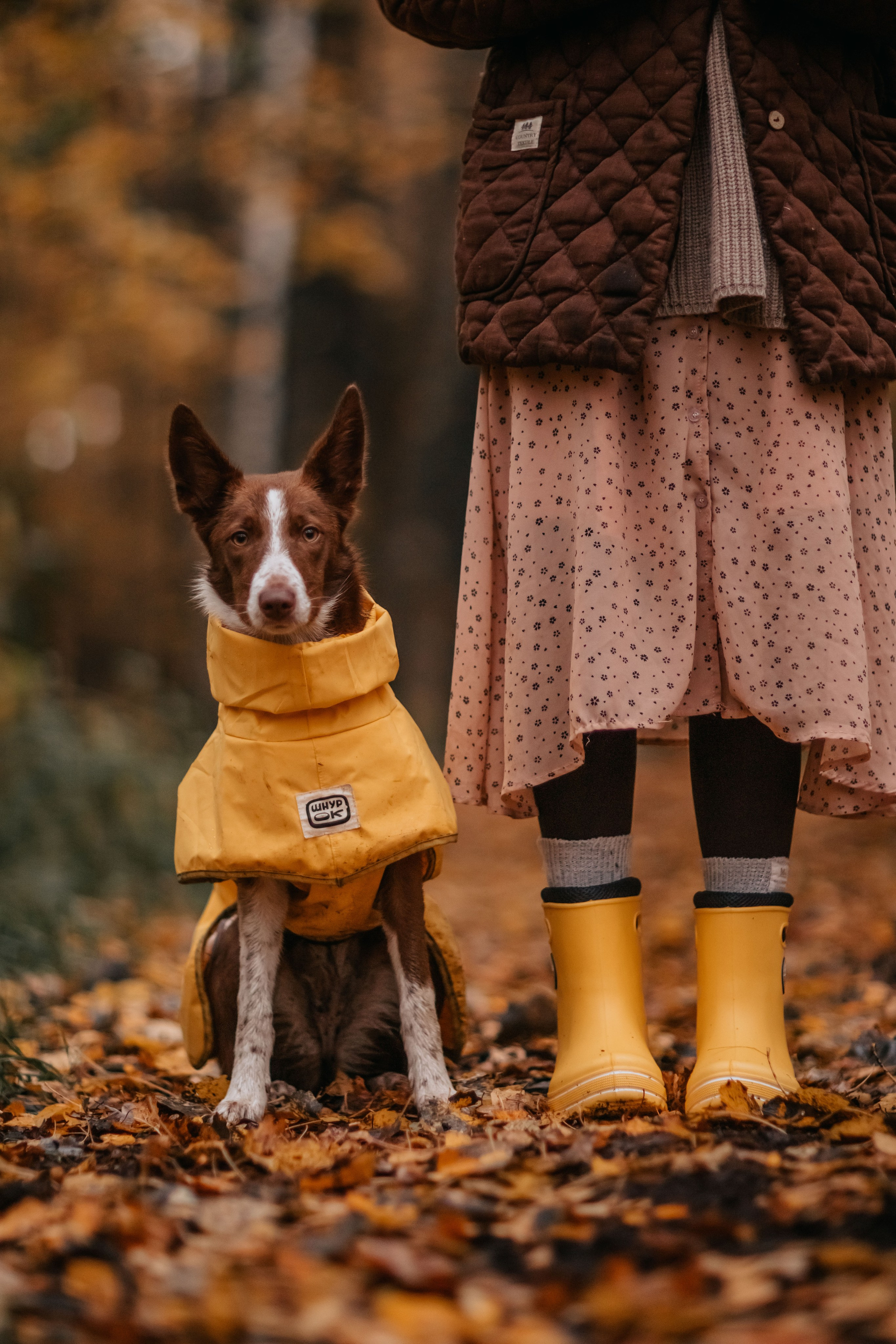 Марина и Энс в осеннем дождливом лесу. Семейный фотограф анималист Мария Крючкова