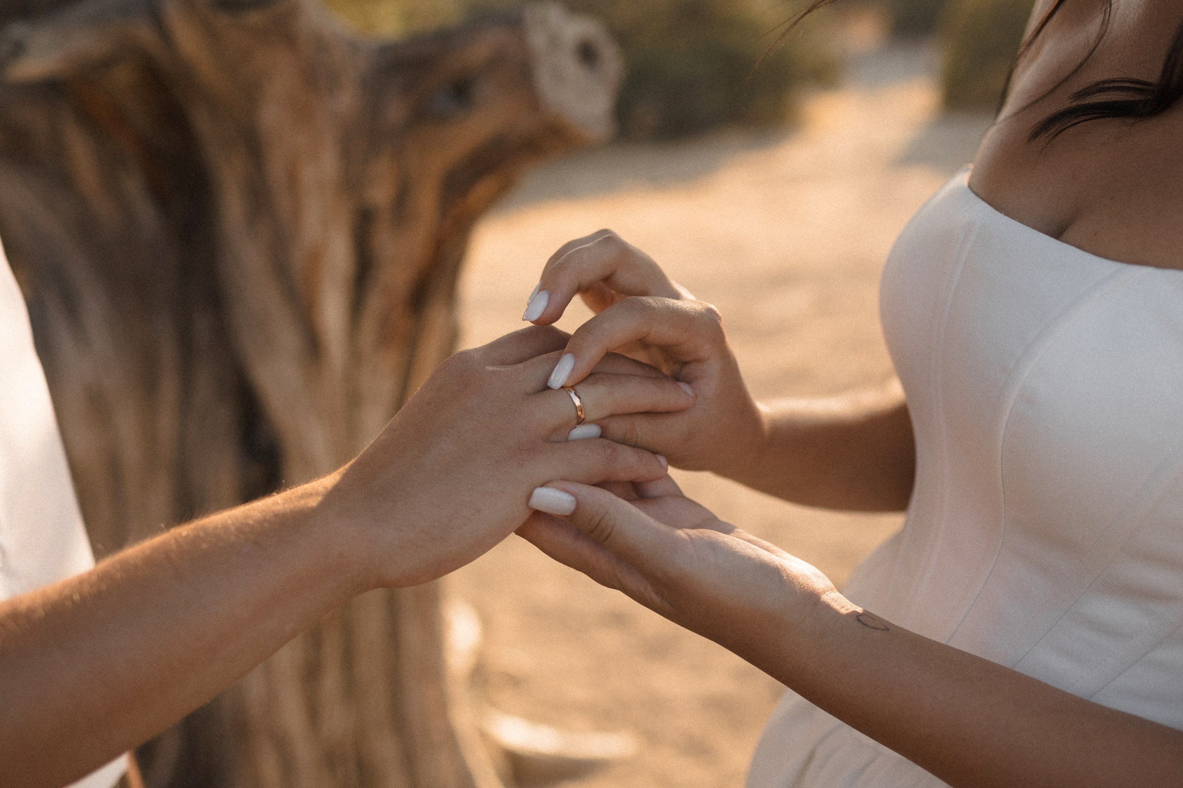 На тропе…. Sovushka DS