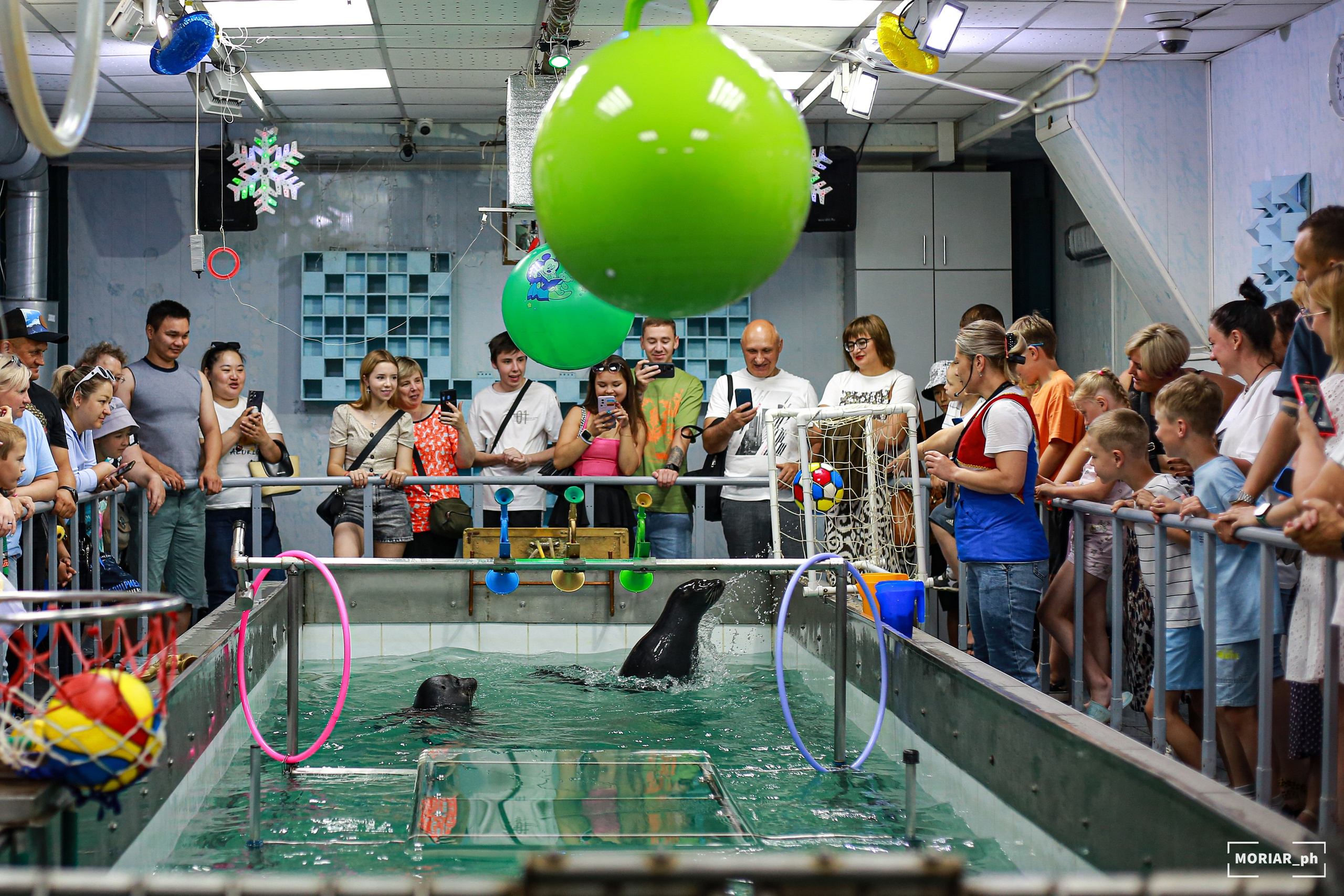 Отпуск. Портретный и репортажный фотограф в Кемерово Алексеева Анастасия