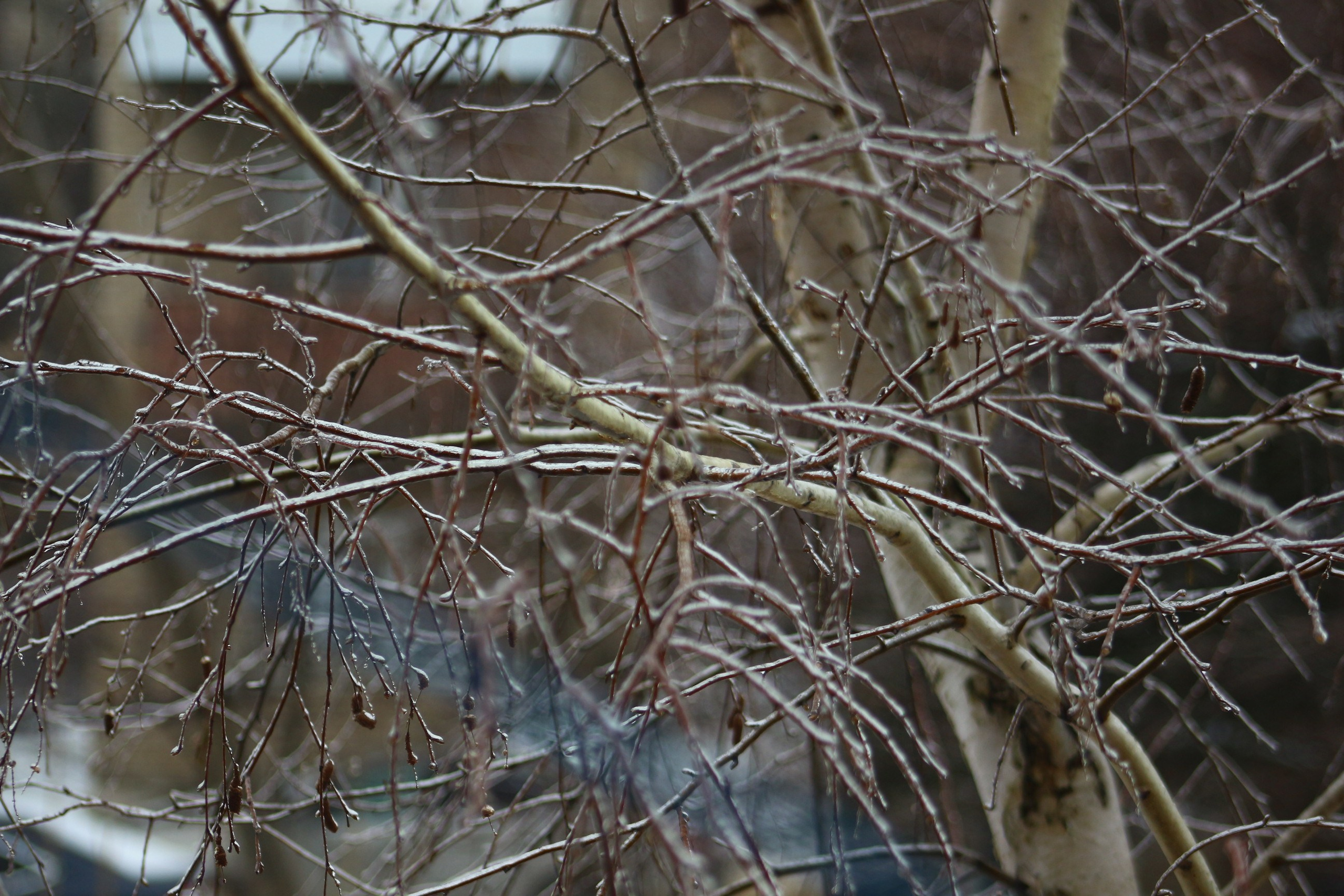 Пейзажи. Фотограф из Донецка Александр Турко