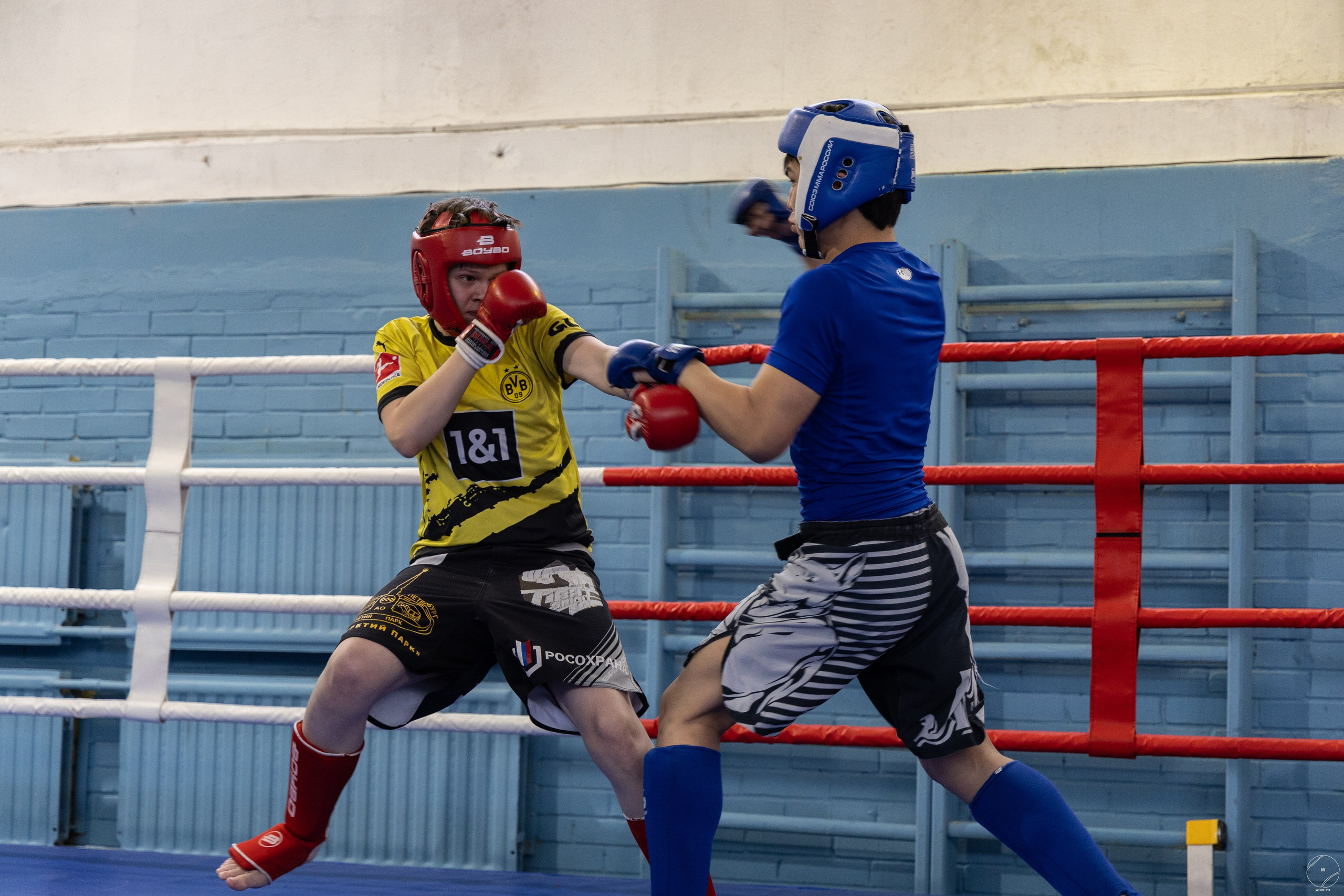 Соревнования MMA. Фотограф Александр Чистяков