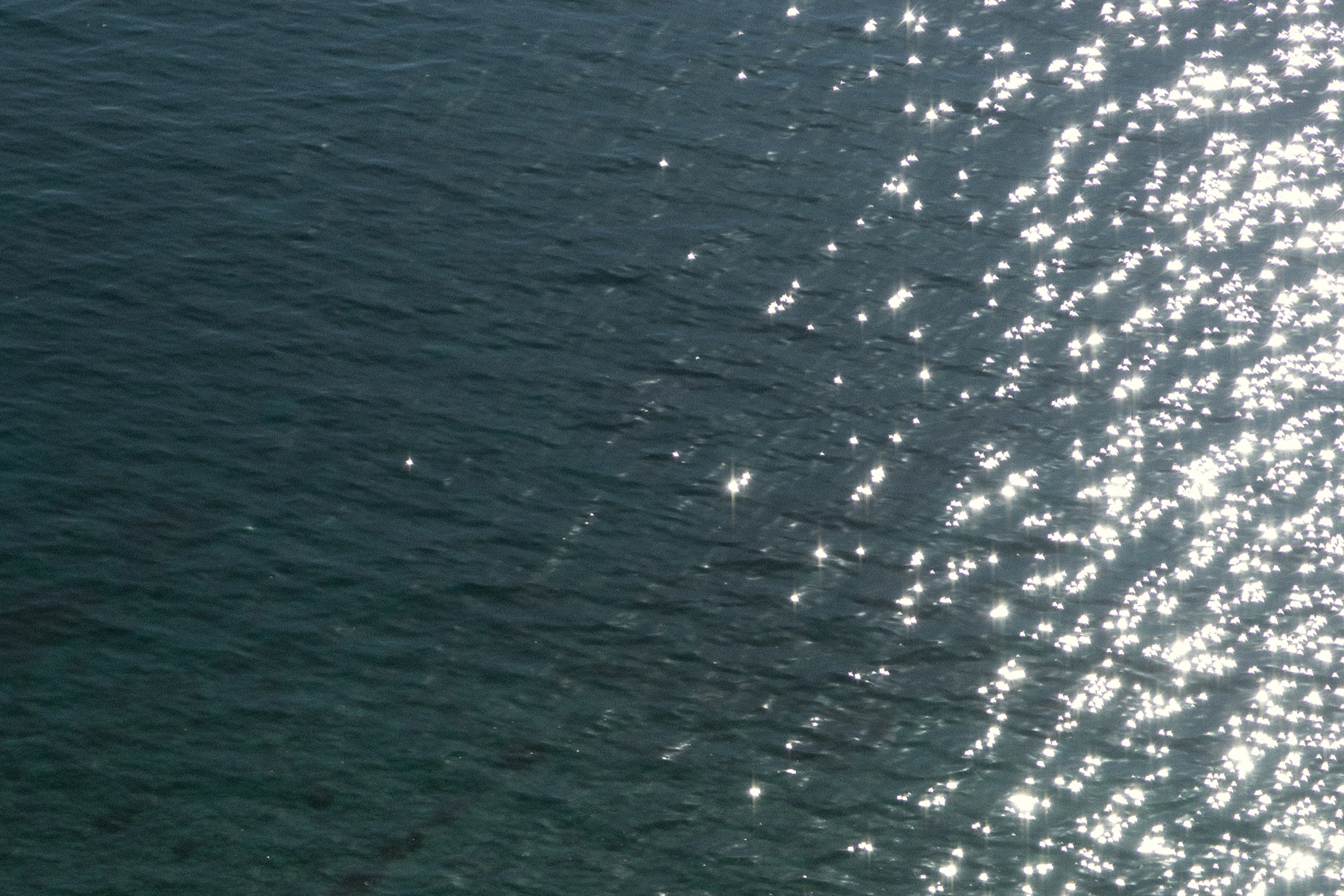 Вадим и Ксения. Свадебный и семейный фотограф в Анапе/Новороссийске Виктория Чайка