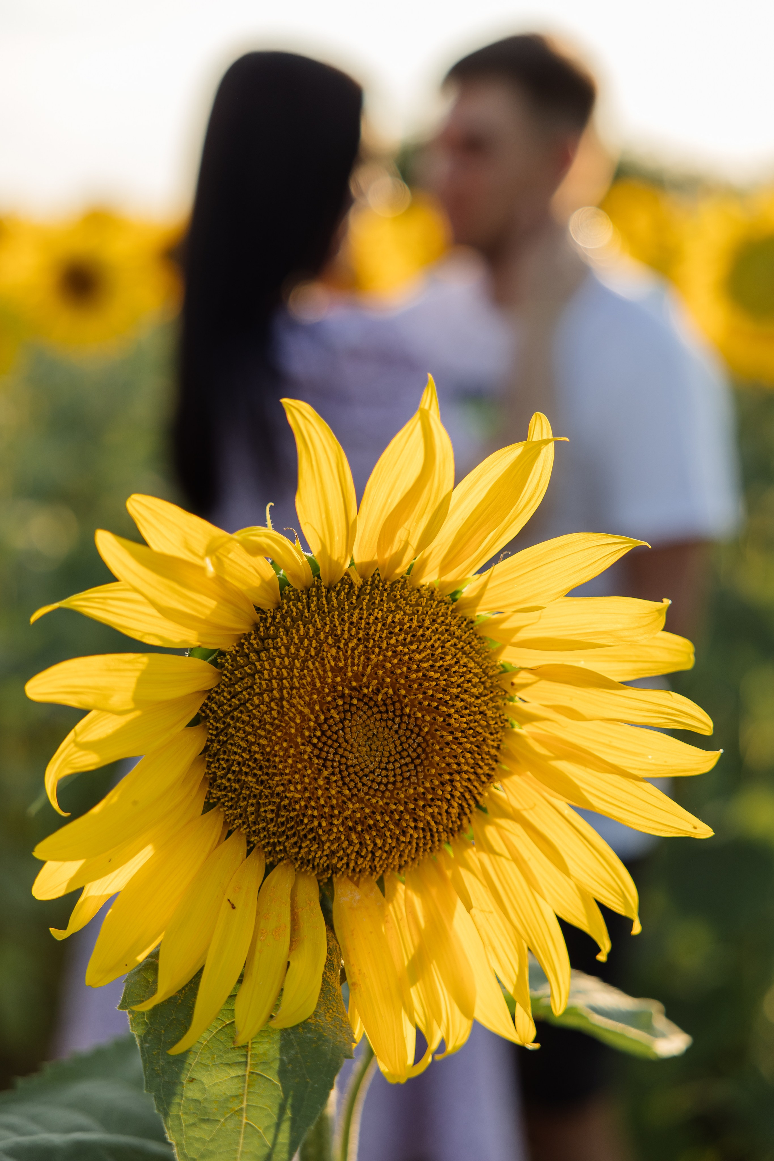 Егор и Татьяна. Семейный и свадебный фотограф в Самаре и Кинеле Мария Донцу
