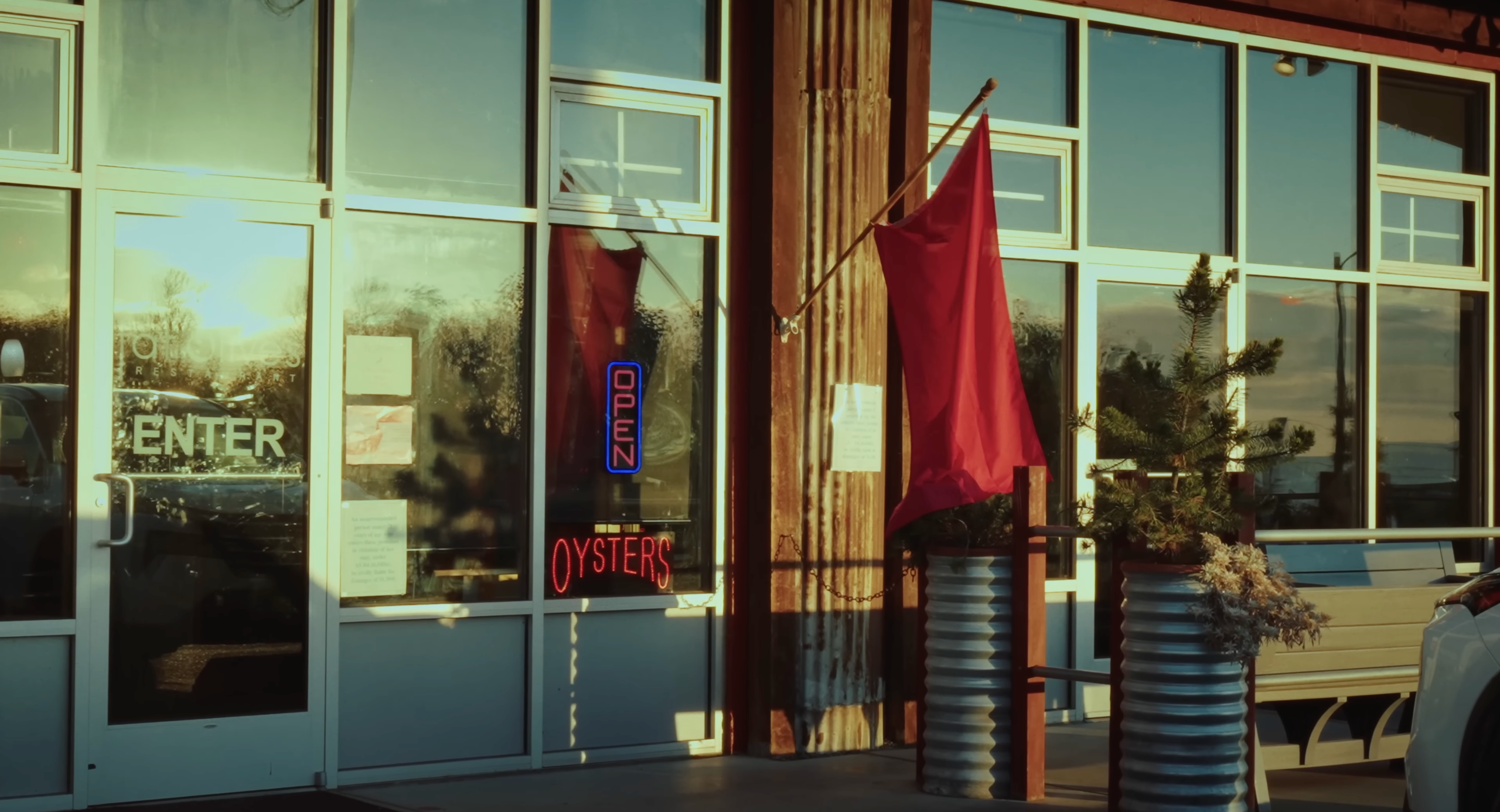 My transformation or how I became homeless in the USA. Tokcolor