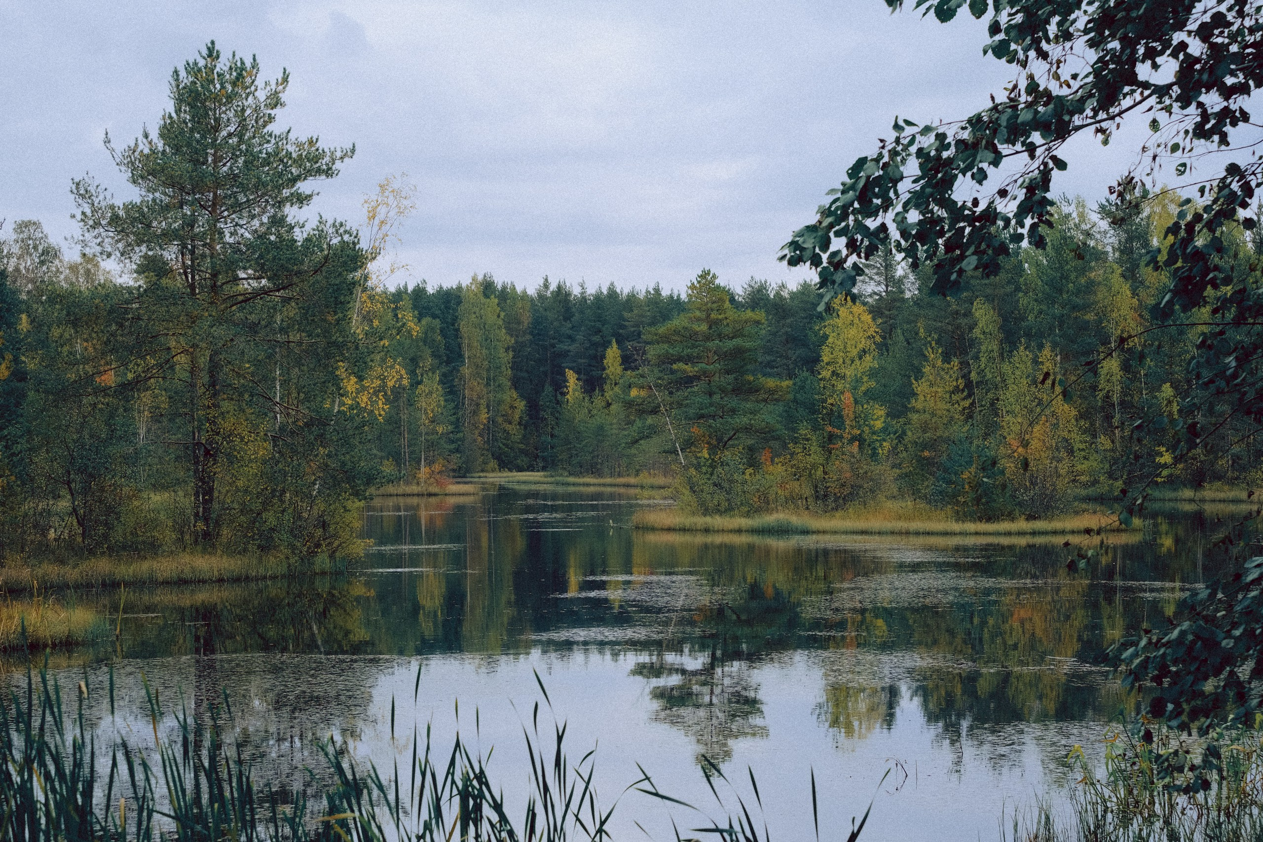 Осеняя прогулка. Профессиональный фотограф, Санкт-Петербург — Виктория Богомолова