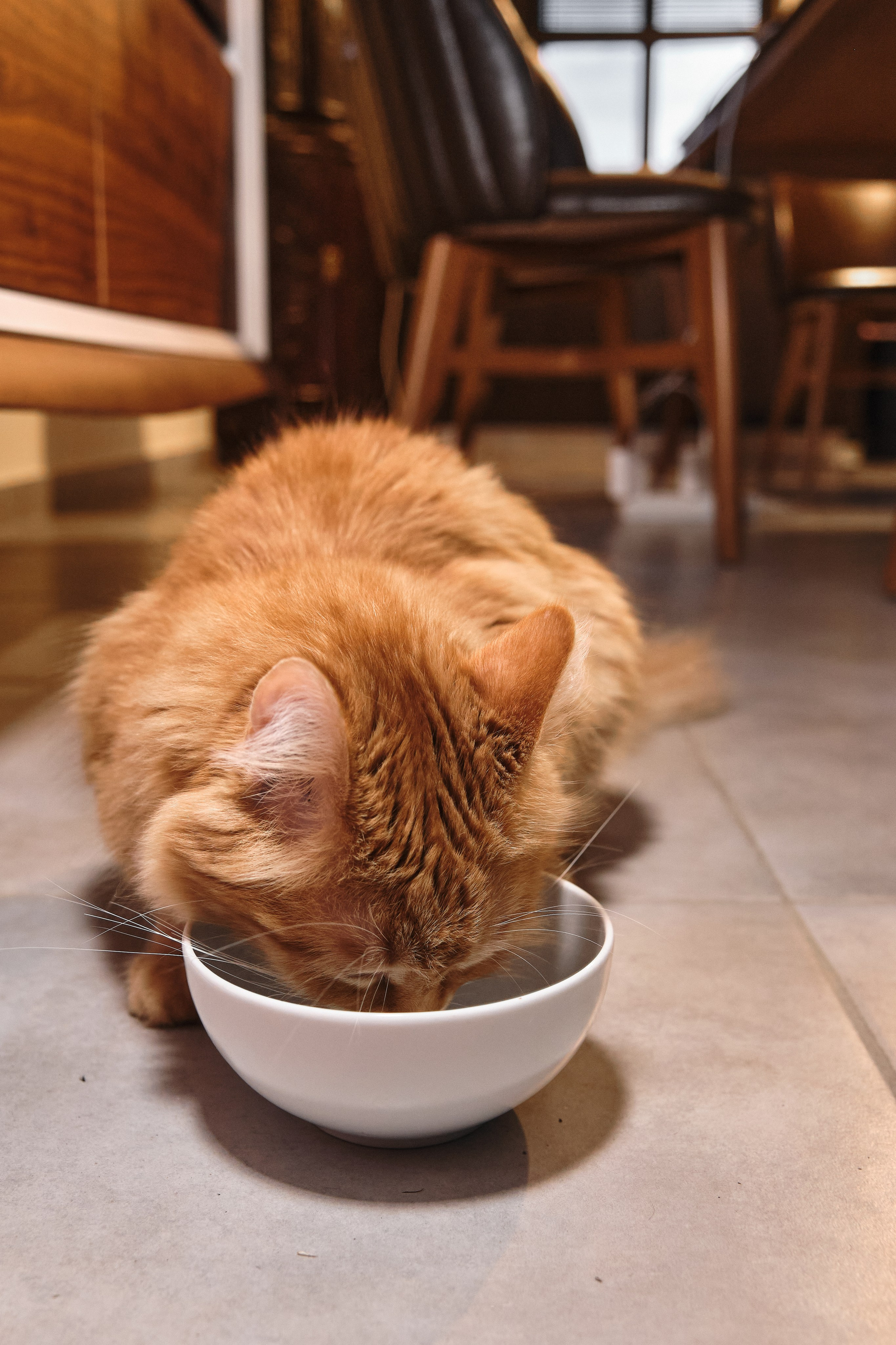 Cyprus 2024 / march. Aleksandr Kobtsev