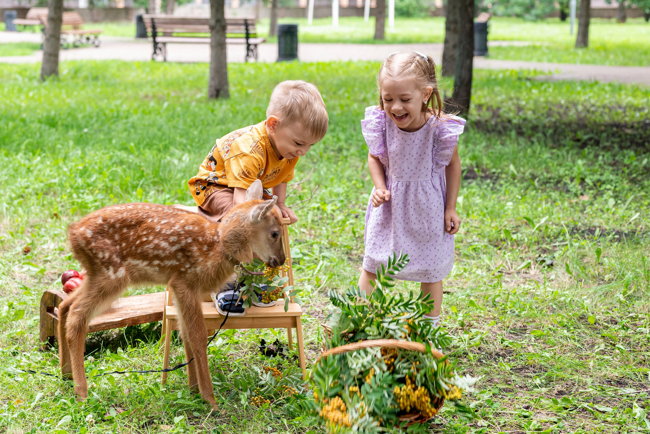 Фотопроект *Оленёнок Бэмби*. Фотограф в городе Салават