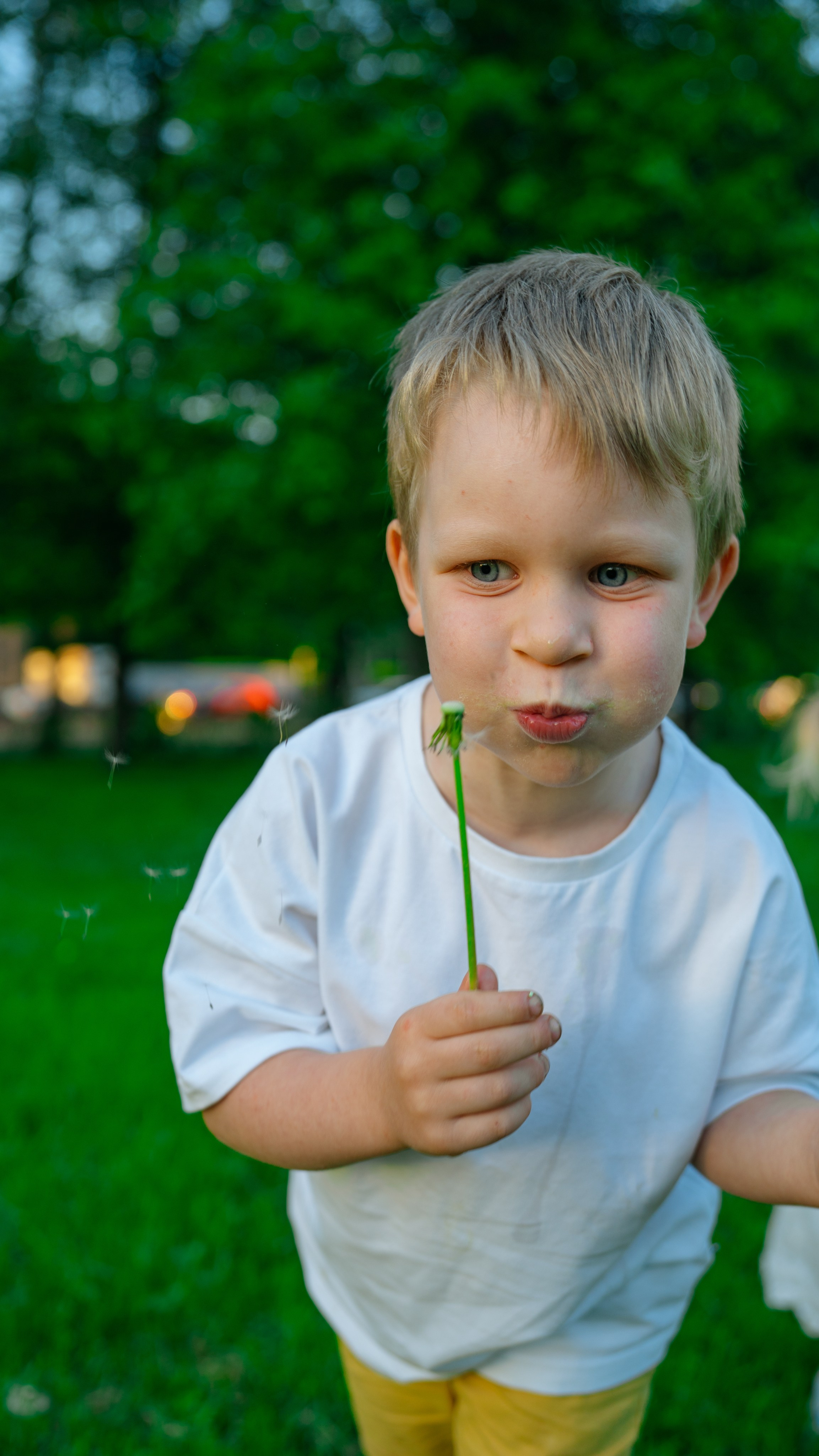 Семейная прогулка. Крамер Юлиана детский и семейный фотограф