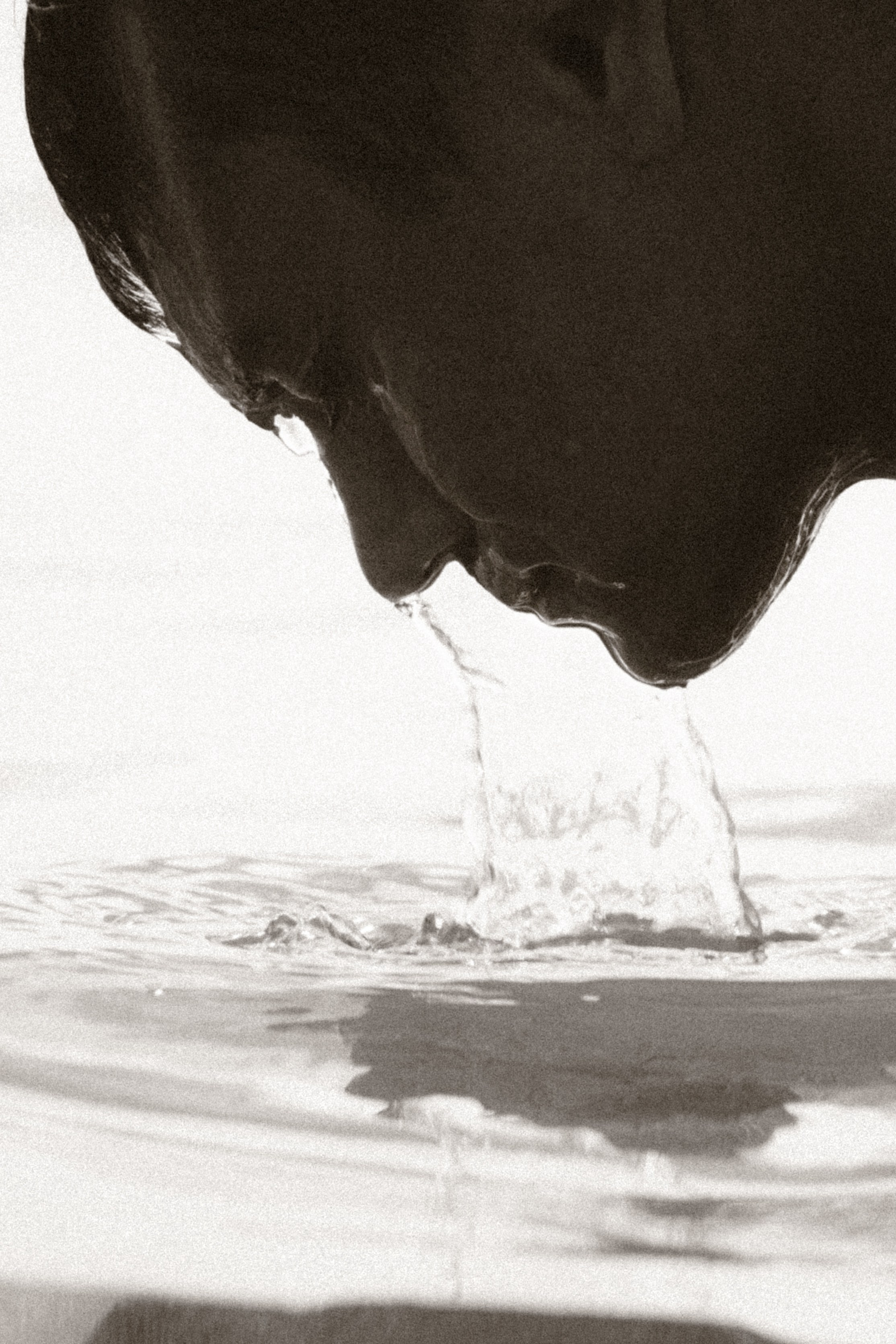 Victor. Alena Gribkova