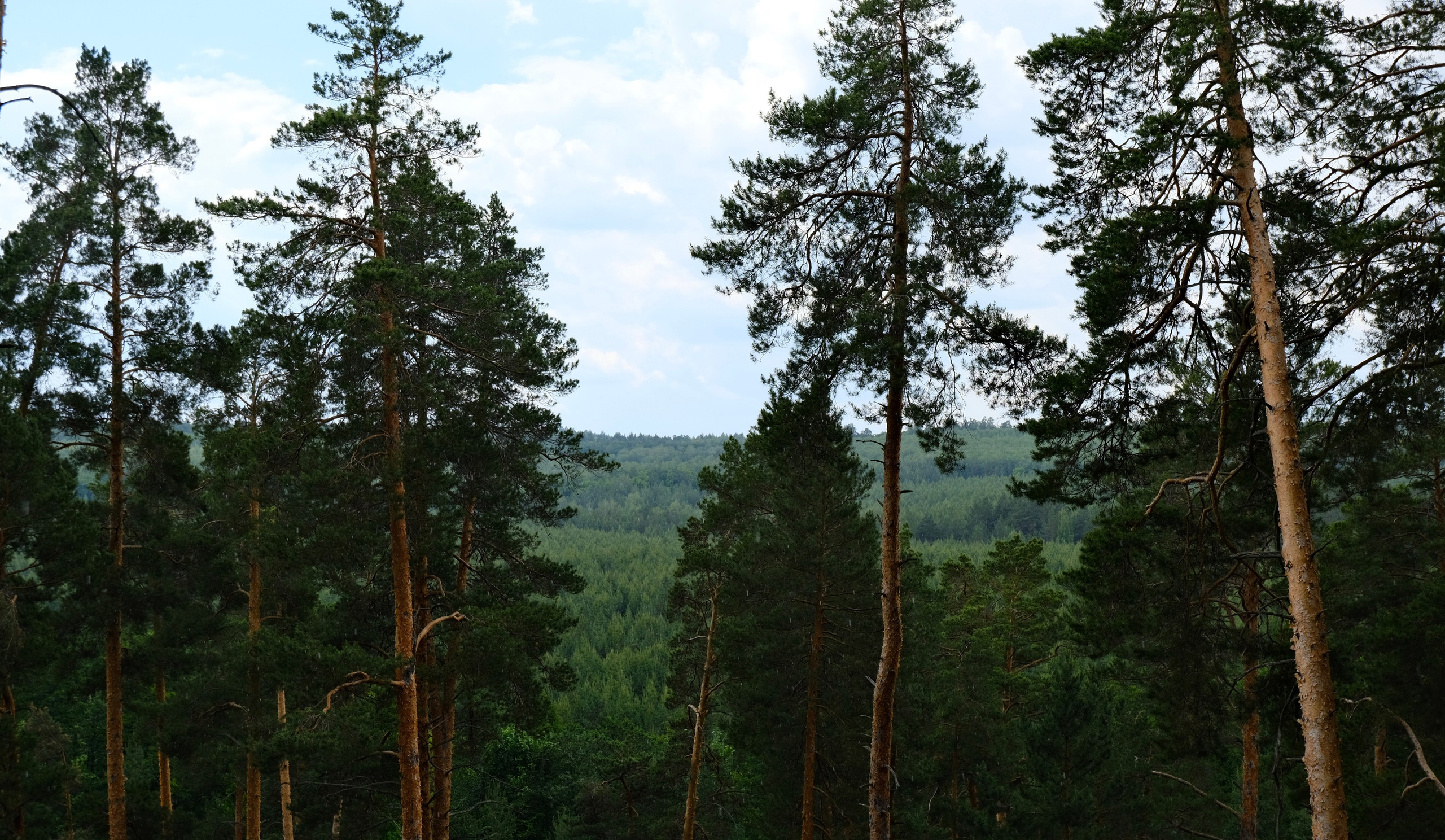 Пейзаж. Кинокадры для тебя. фотограф и стилист по прическам Анастасия Помелова