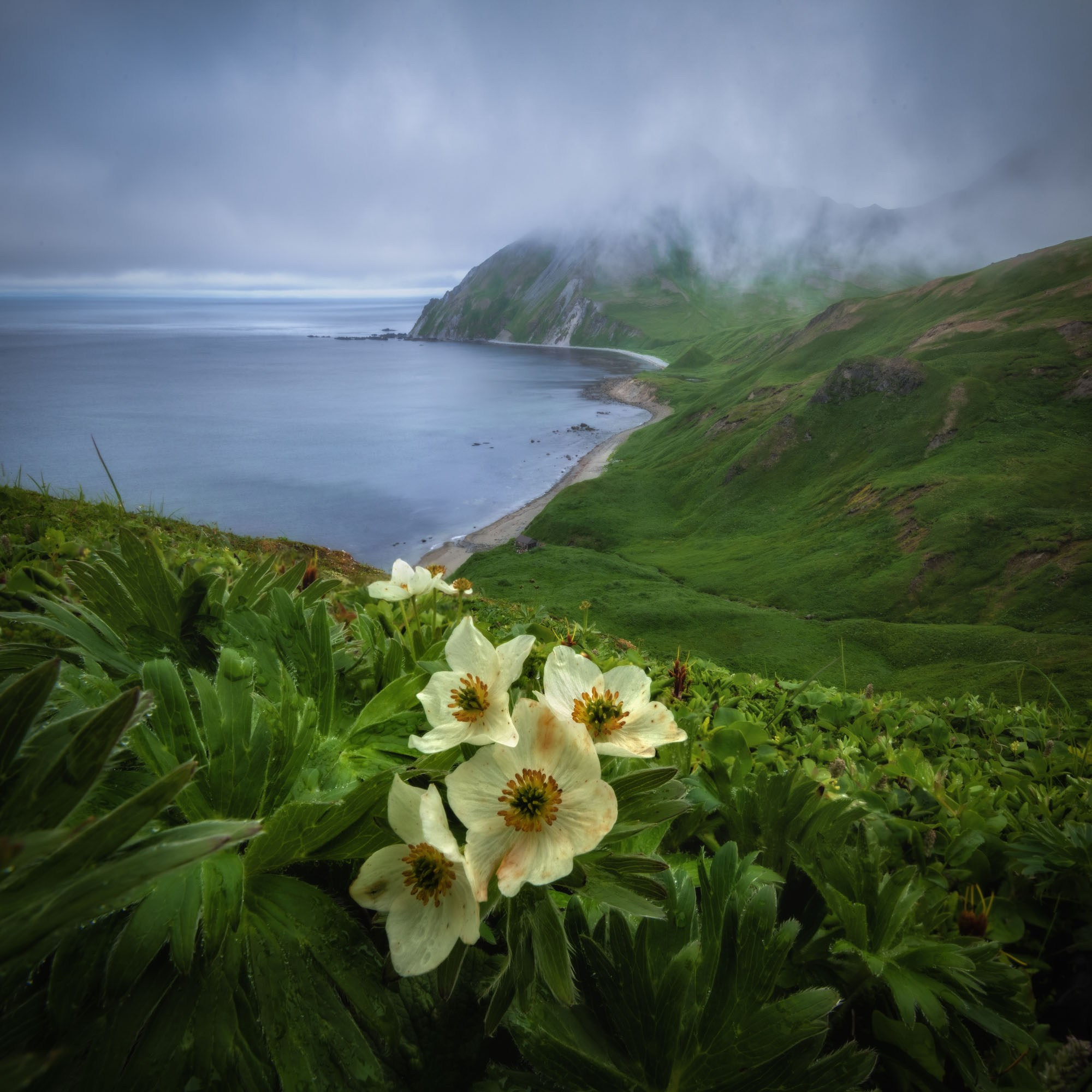 Галерея Командоры