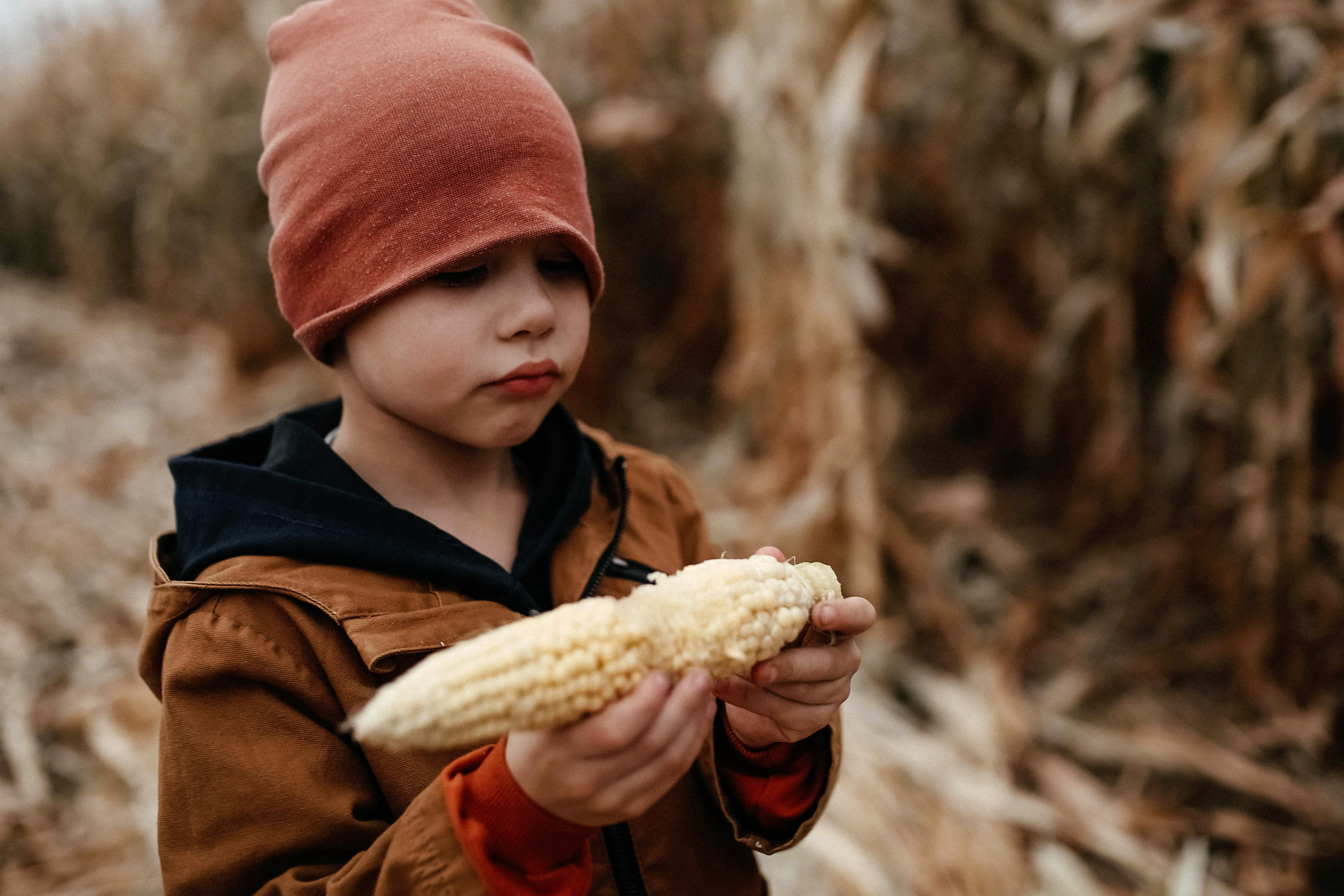 КУКУРУЗА. Семейный фотограф из Екатеринбурга Катя Маруневич
