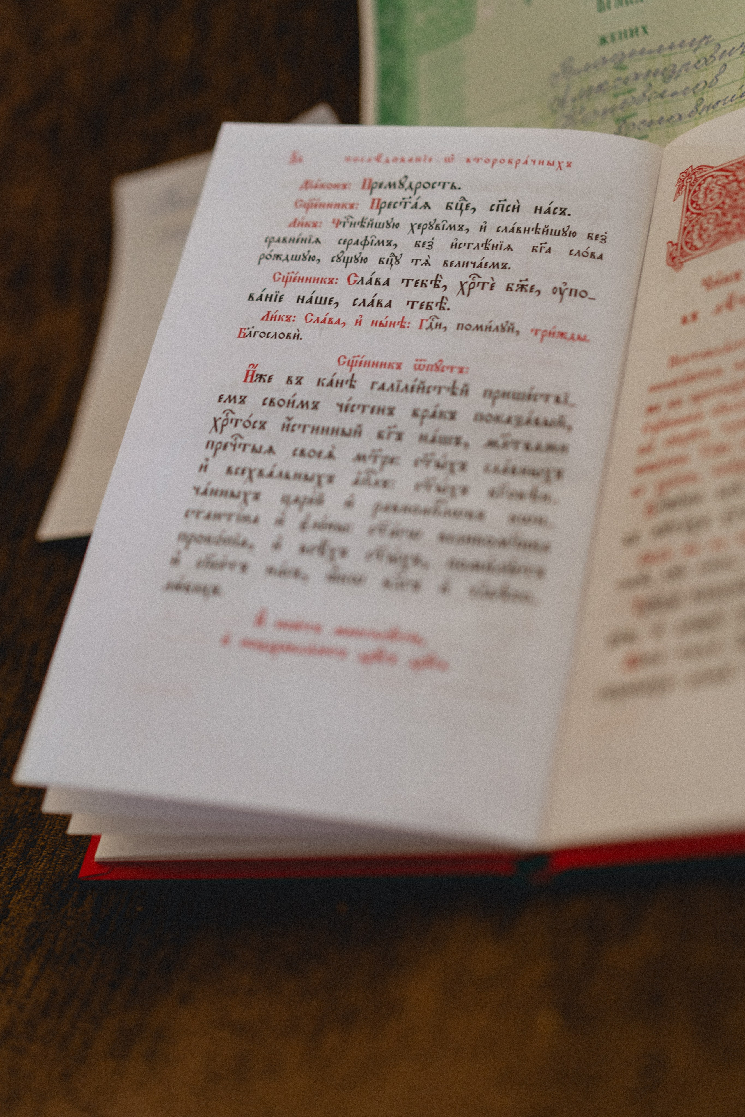 Vladimir + Irina. Lusy Redina | Семейный Фотограф | Волгоград