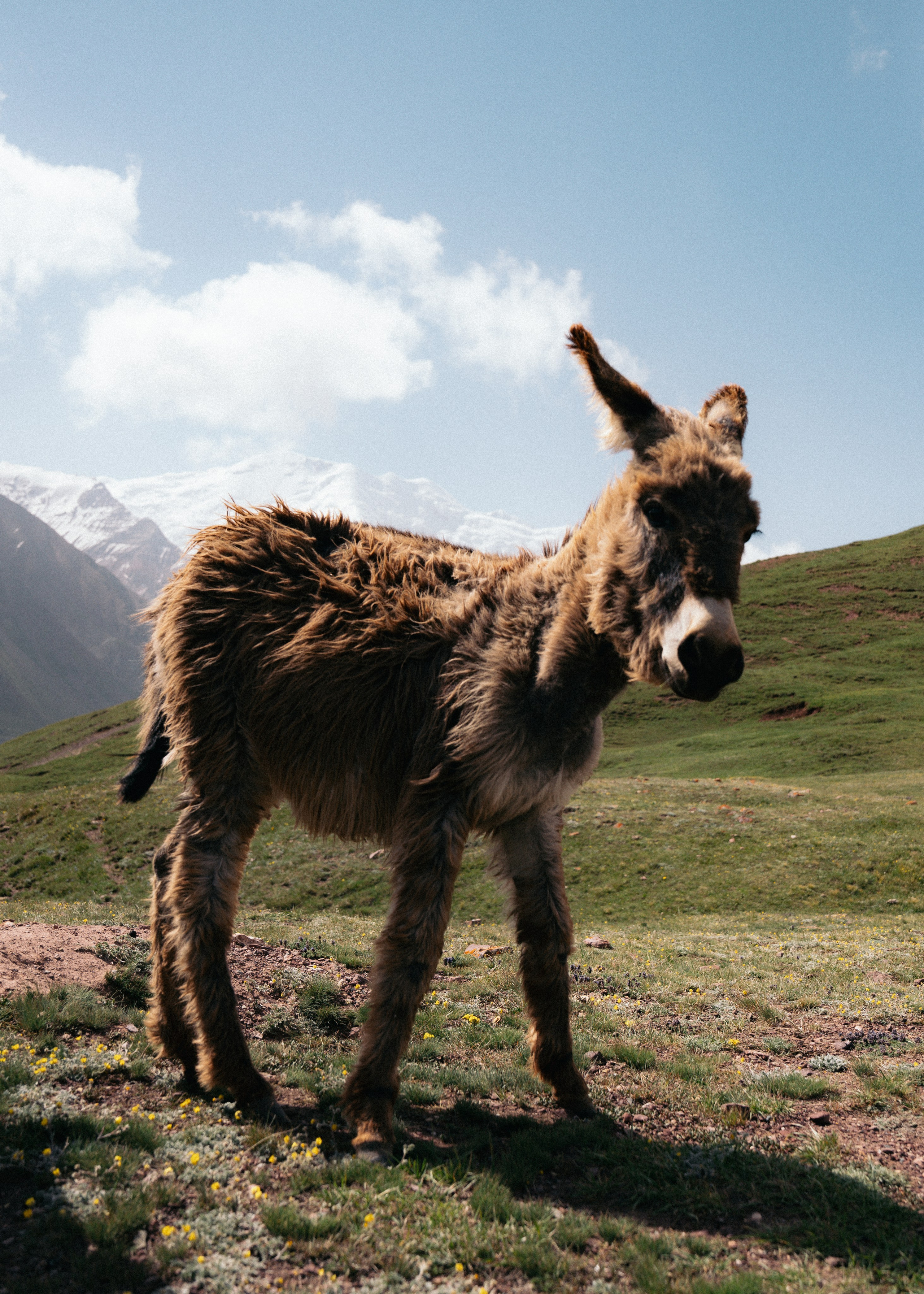 Lenin Peak. Pavel Kaiun