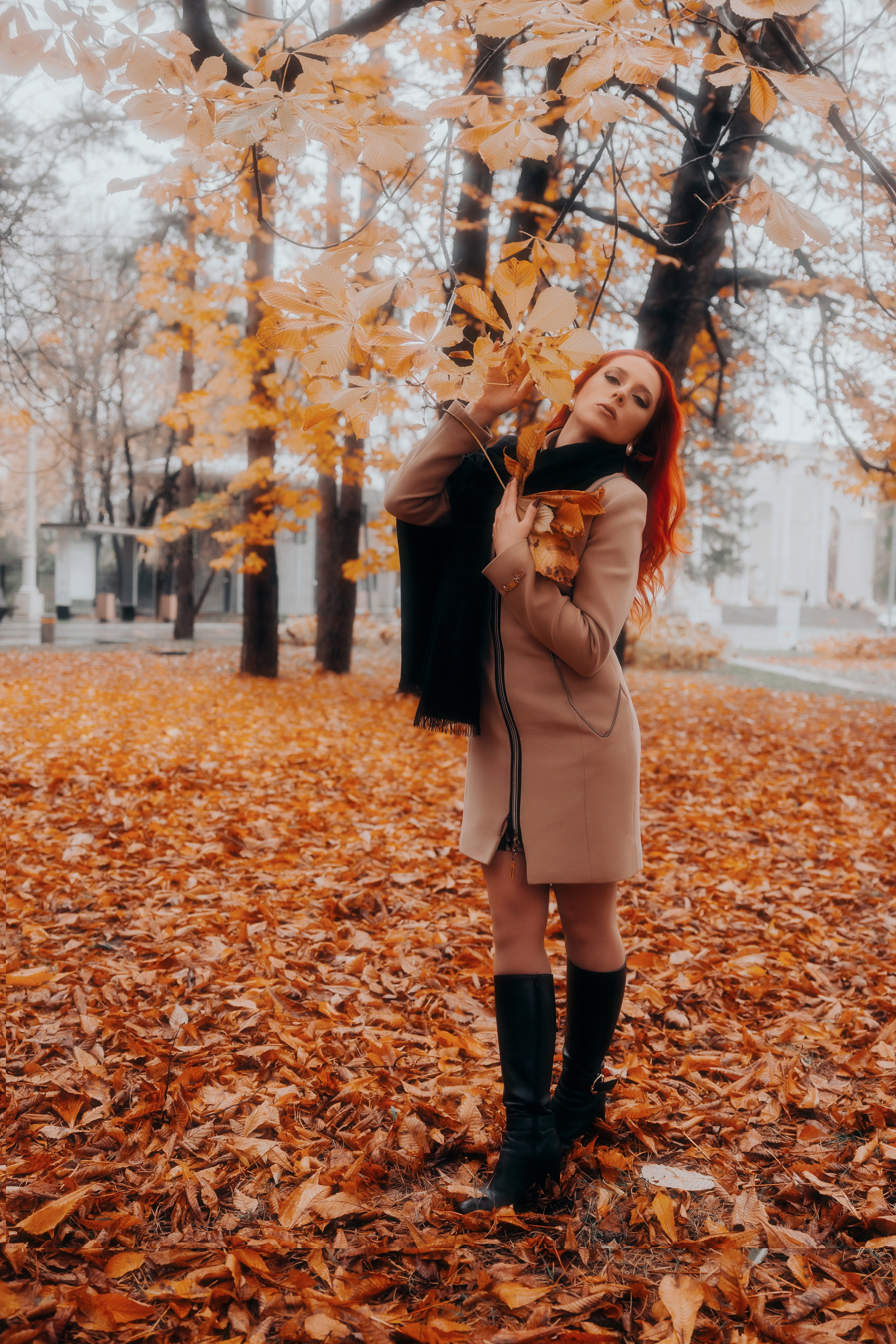 ALEXSANDRA. Shamirov Arkadiy