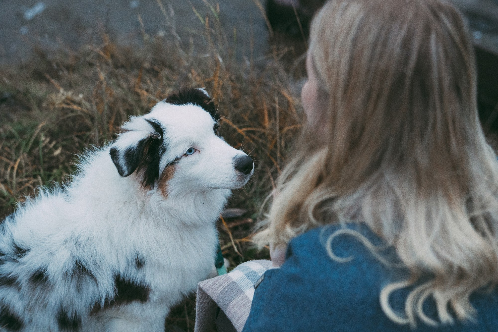 Лиза и Бублик. Фотограф анималист в Москве и Санкт-Петербурге Свиридова Анна