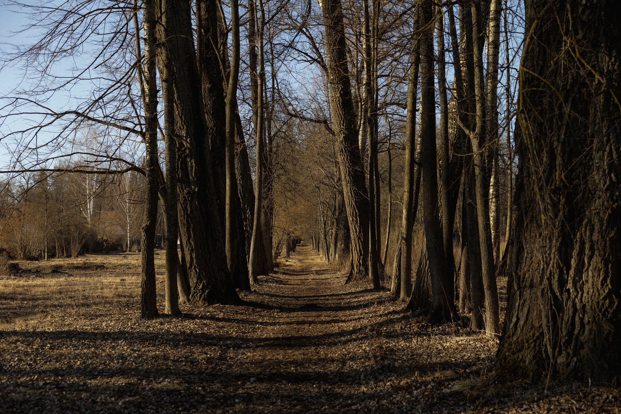 Саша и Оксана. Свадебный фотограф Ксения Ровковская