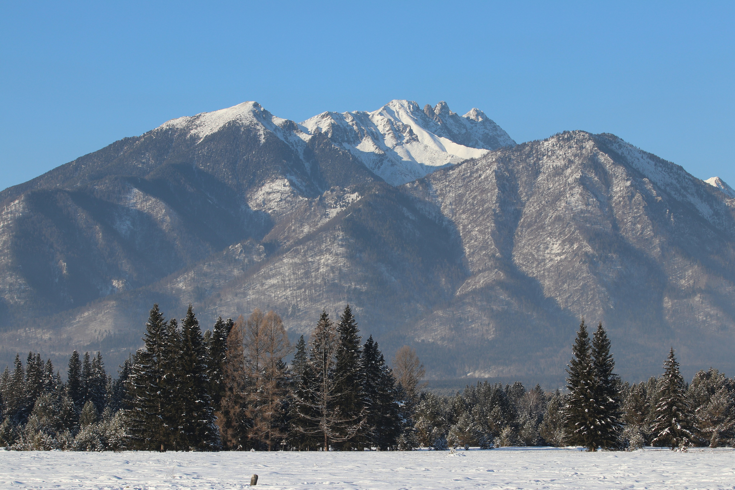 Аршан. Январь 2022. Путешественник-фотограф из Санкт-Петербурга Татьяна Свистулина