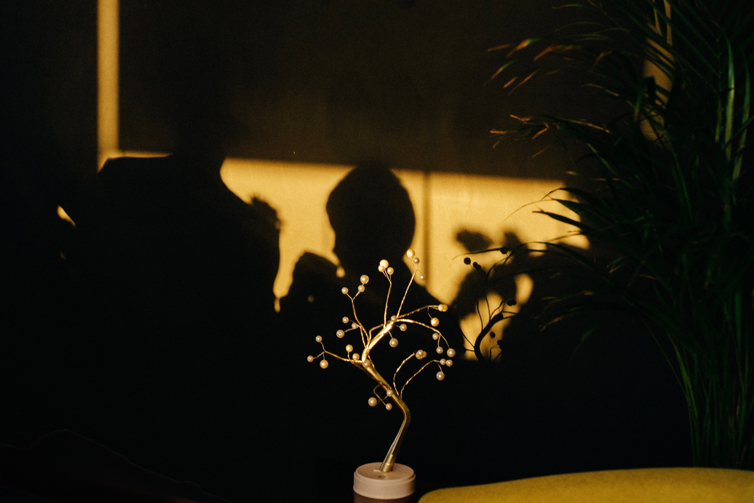 Liza & Danya. Свадебный фотограф Москва и ЮГ