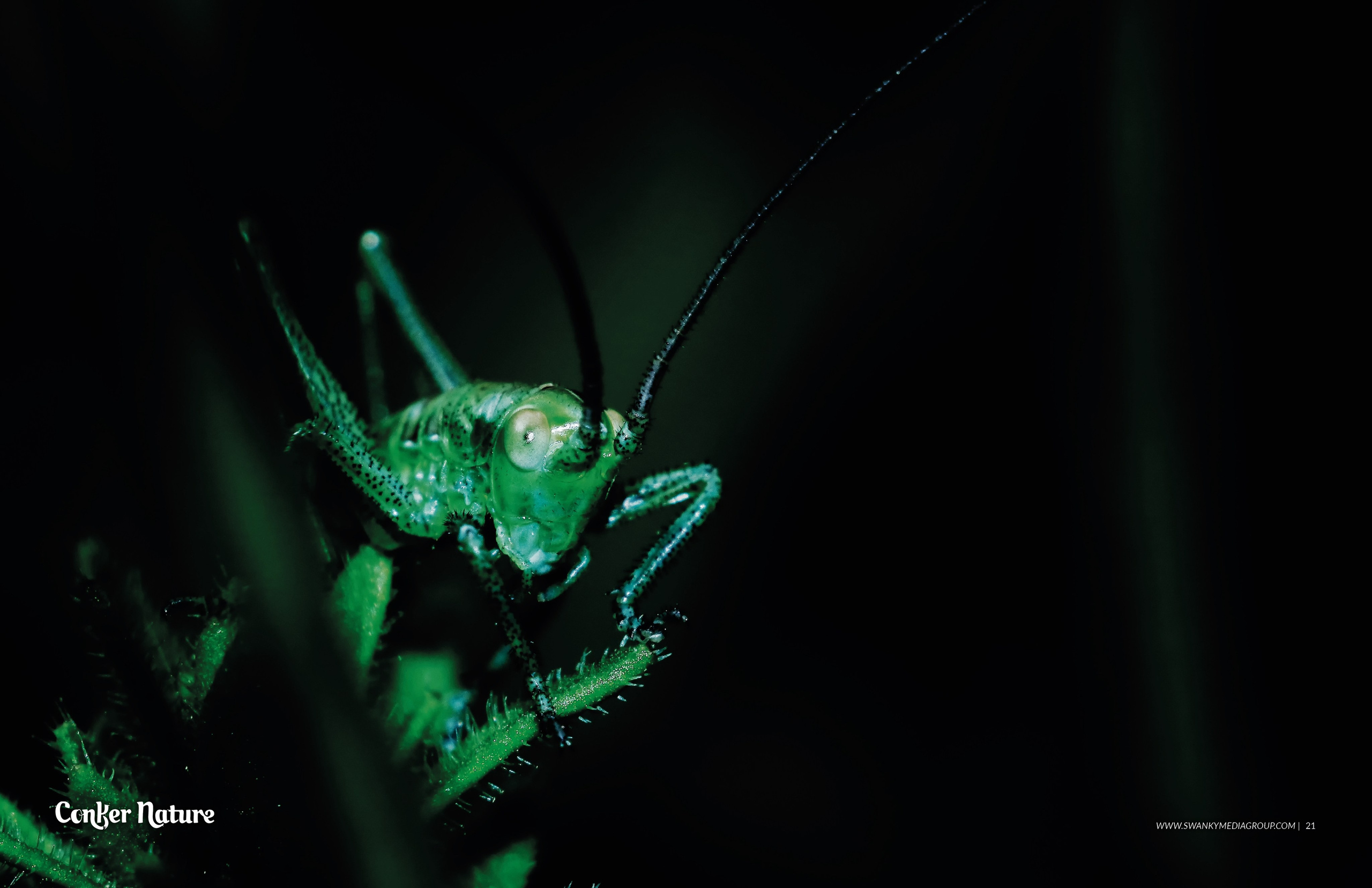 My publications in printed publications, magazines. Фотограф (photographer) Lischinski Vitaliy