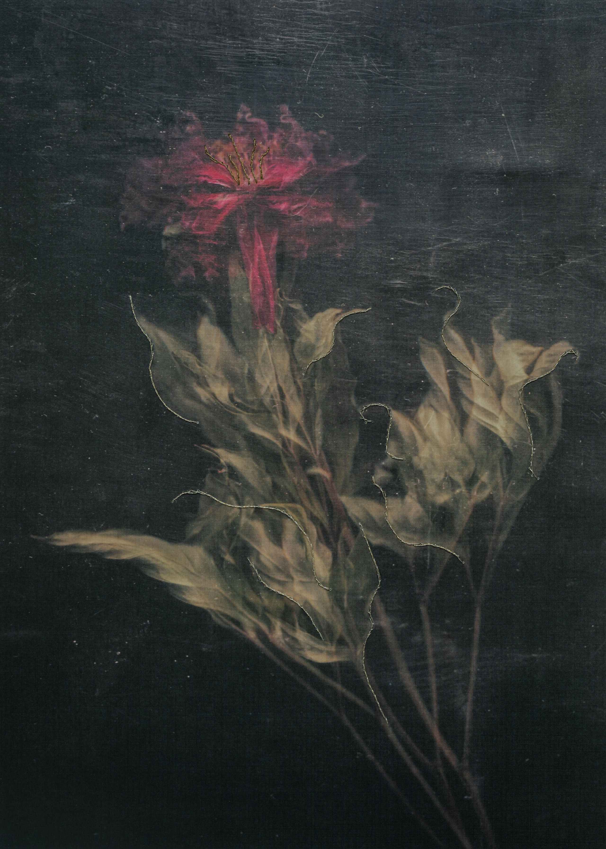 Призрачные узоры. Фотограф Елена Хазина, Рязань