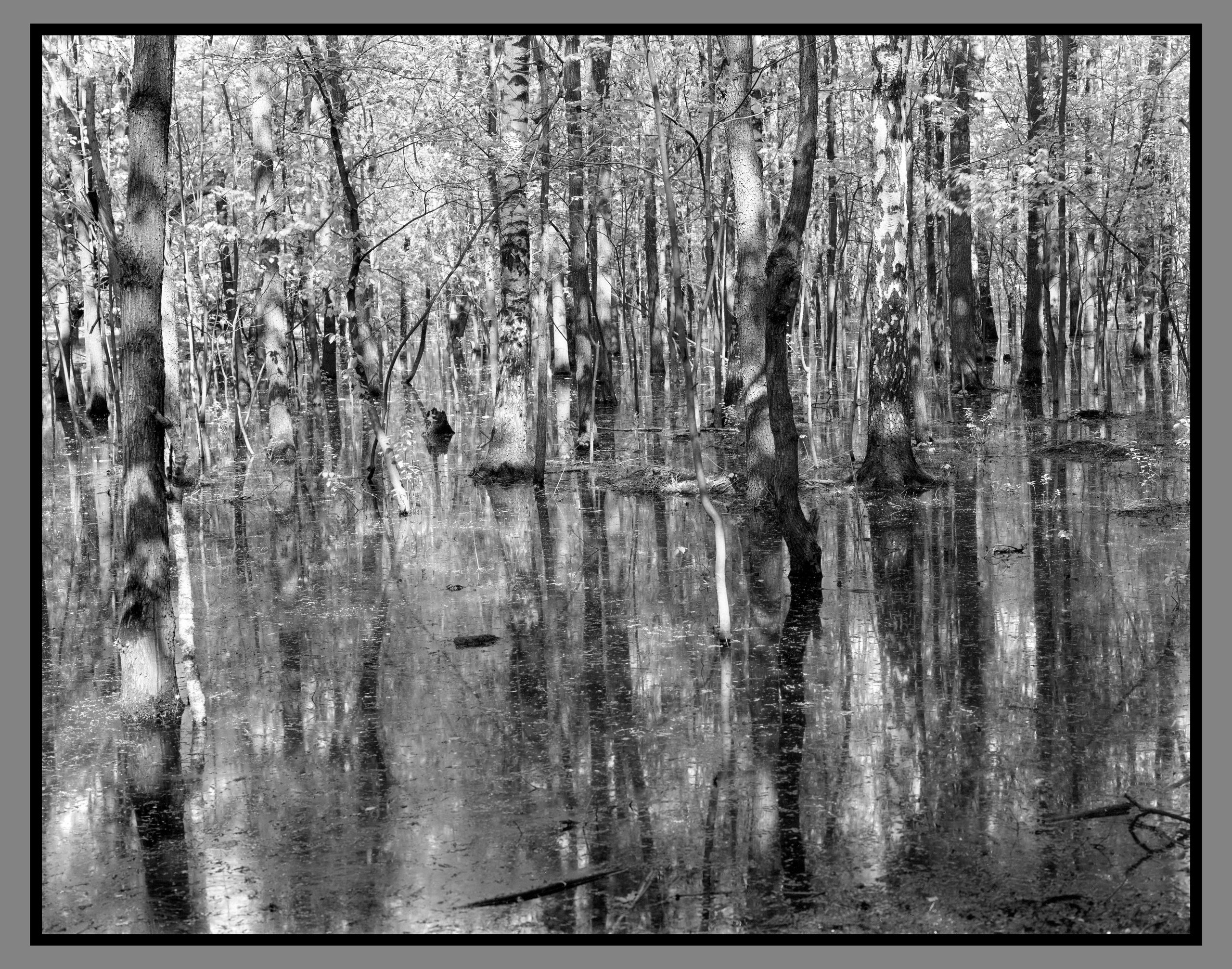Author’s photo works in the ambrotype technique! Analog photography. Sergey Kondriuk art-photographer | artist