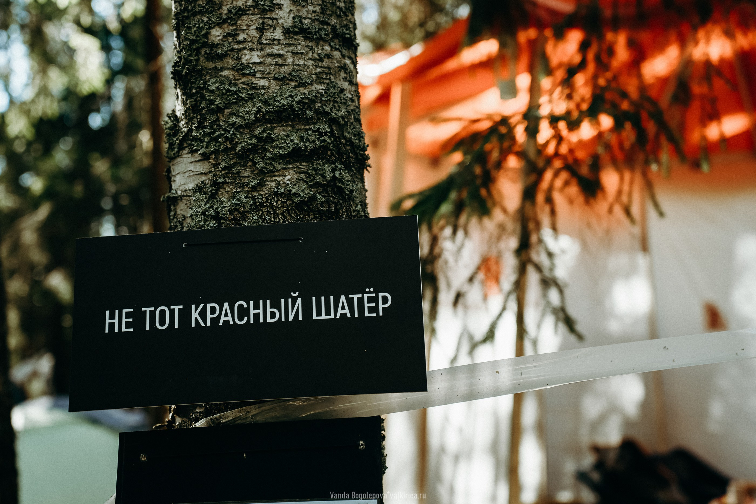 Фестиваль «Дофамин» 2024. Фотосъемка, свадебная фотосъемка, Москва, Нижний Новгород