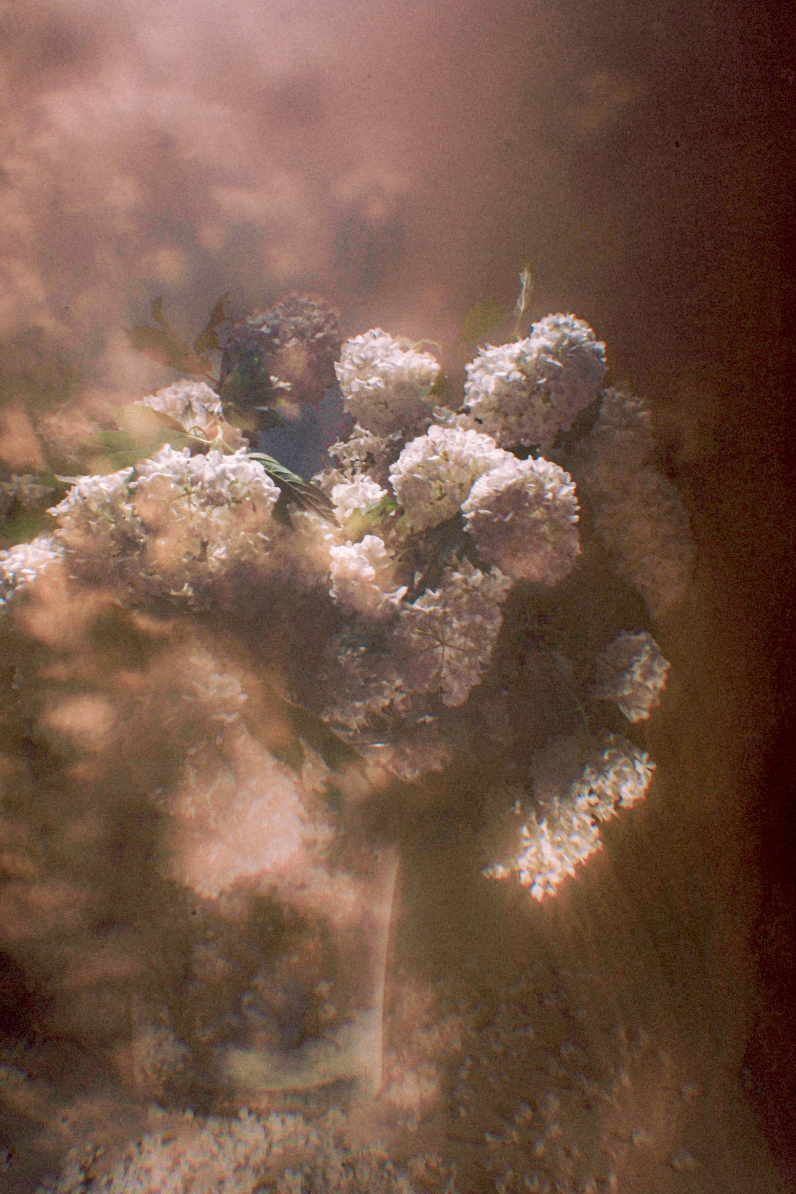 ПЕЙЗАЖИ. Профессиональный фотограф в Москве  Елена Фатьянова