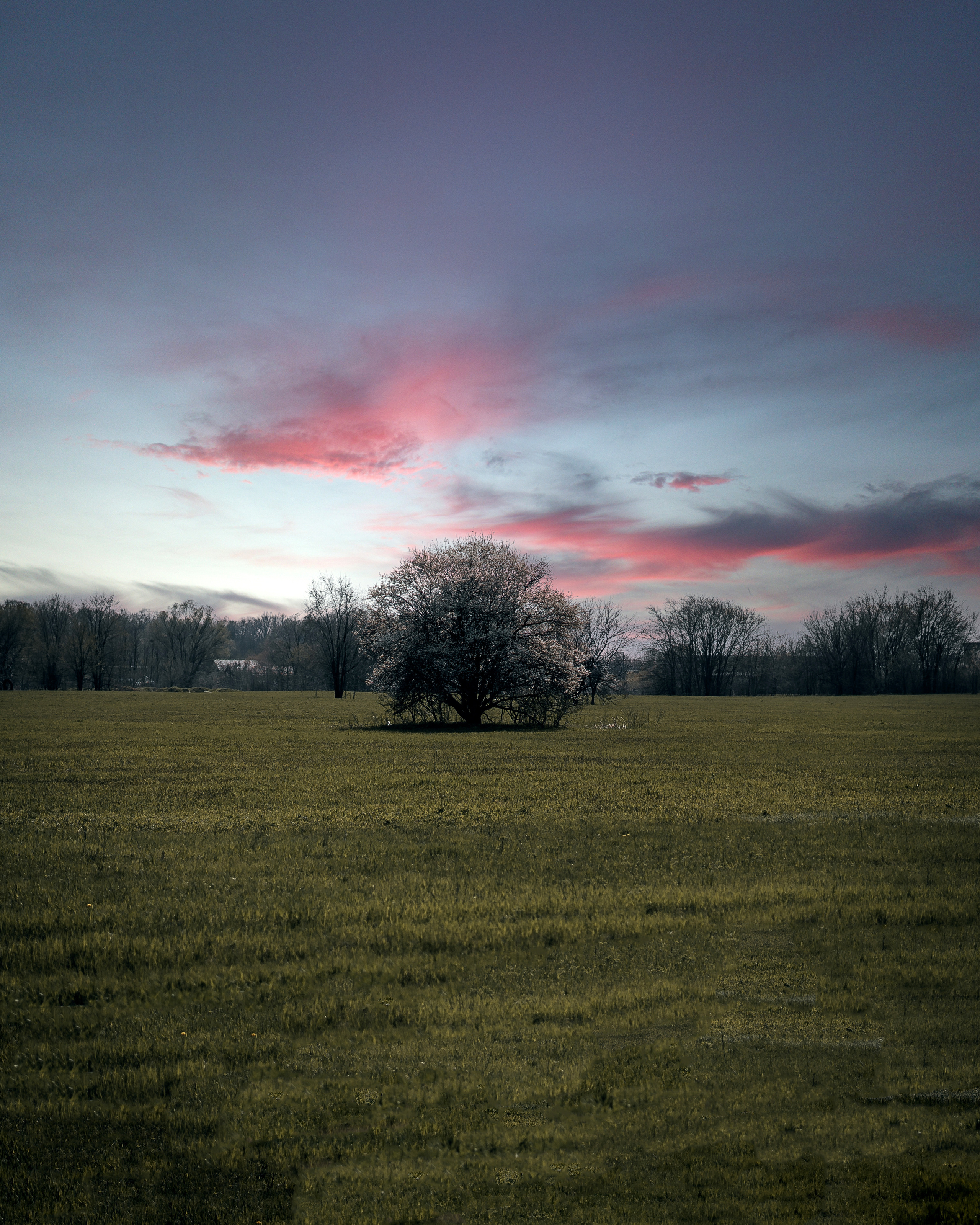Стрит-фотография, улицы Краснодара и пригорода. Фотограф и видеограф в Новотитаровской и Краснодаре — Олег Ананко
