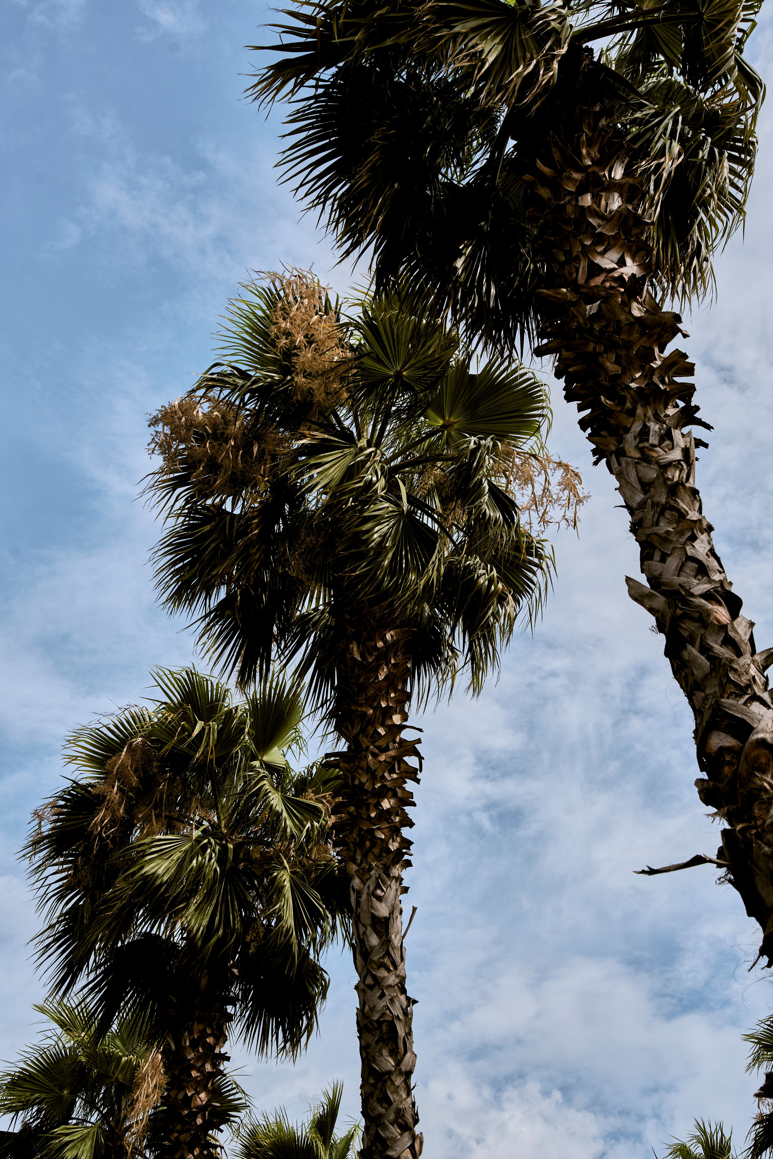 СОЧИ. Студийный фотограф в Екатеринбурге Бшари Заана