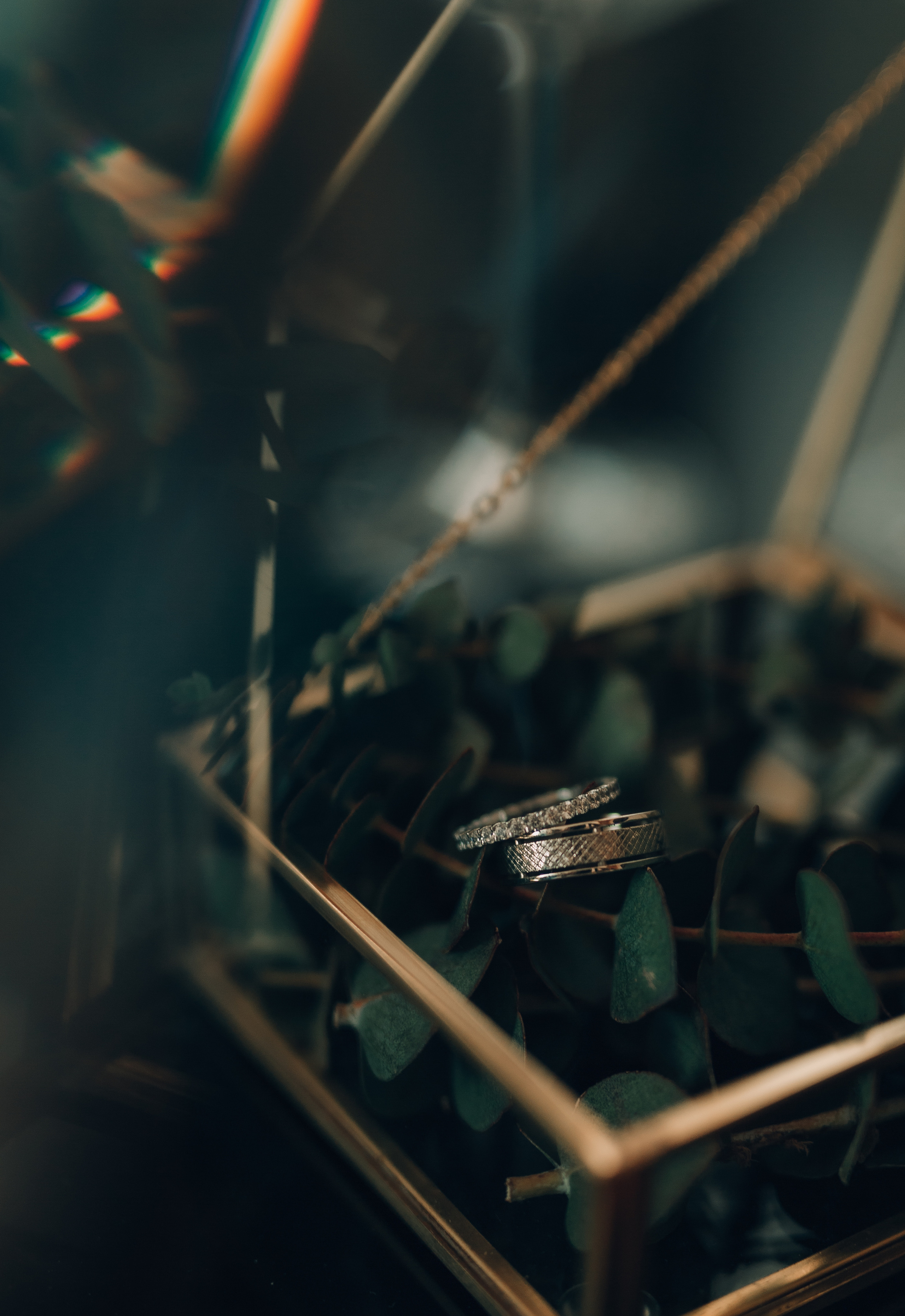 Свадьба. Отель Hilton. Семейный фотограф в Казани Рузалина Гафурова